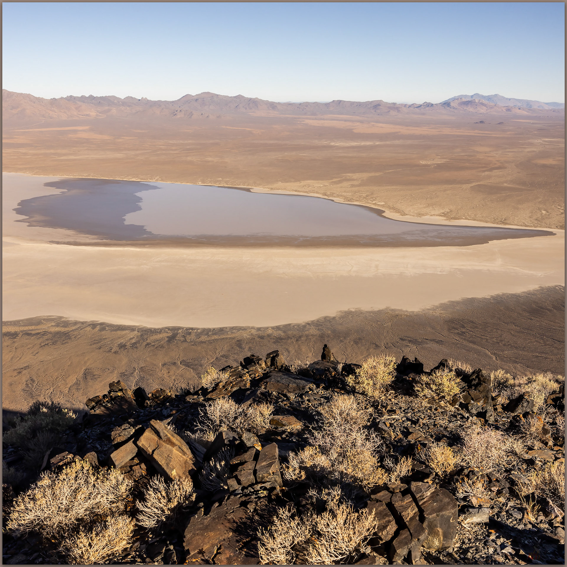 Monsoon remnant. Bluewing Playa, Great Basin Desert, NV