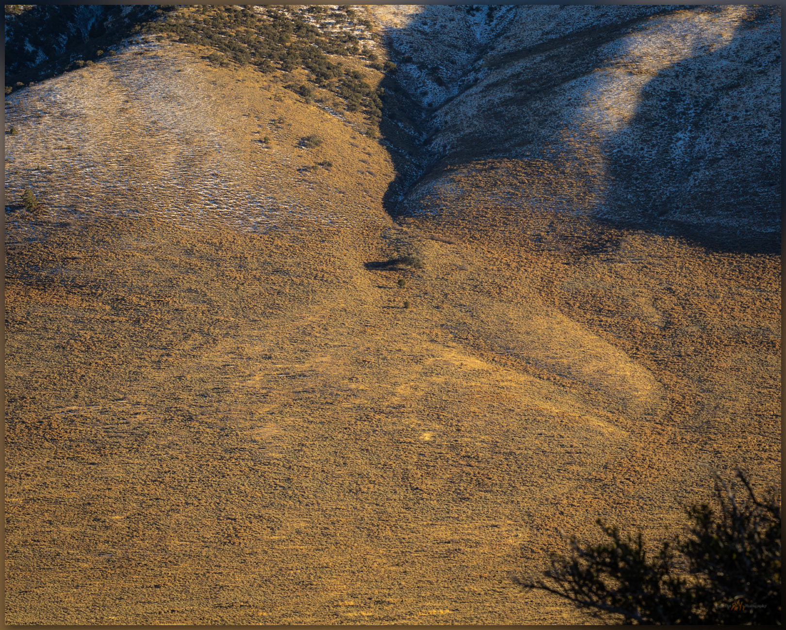 Last fan. Sediment responds to change in slope below the Mountain Boy Range, Great Basin Desert, NV, USA