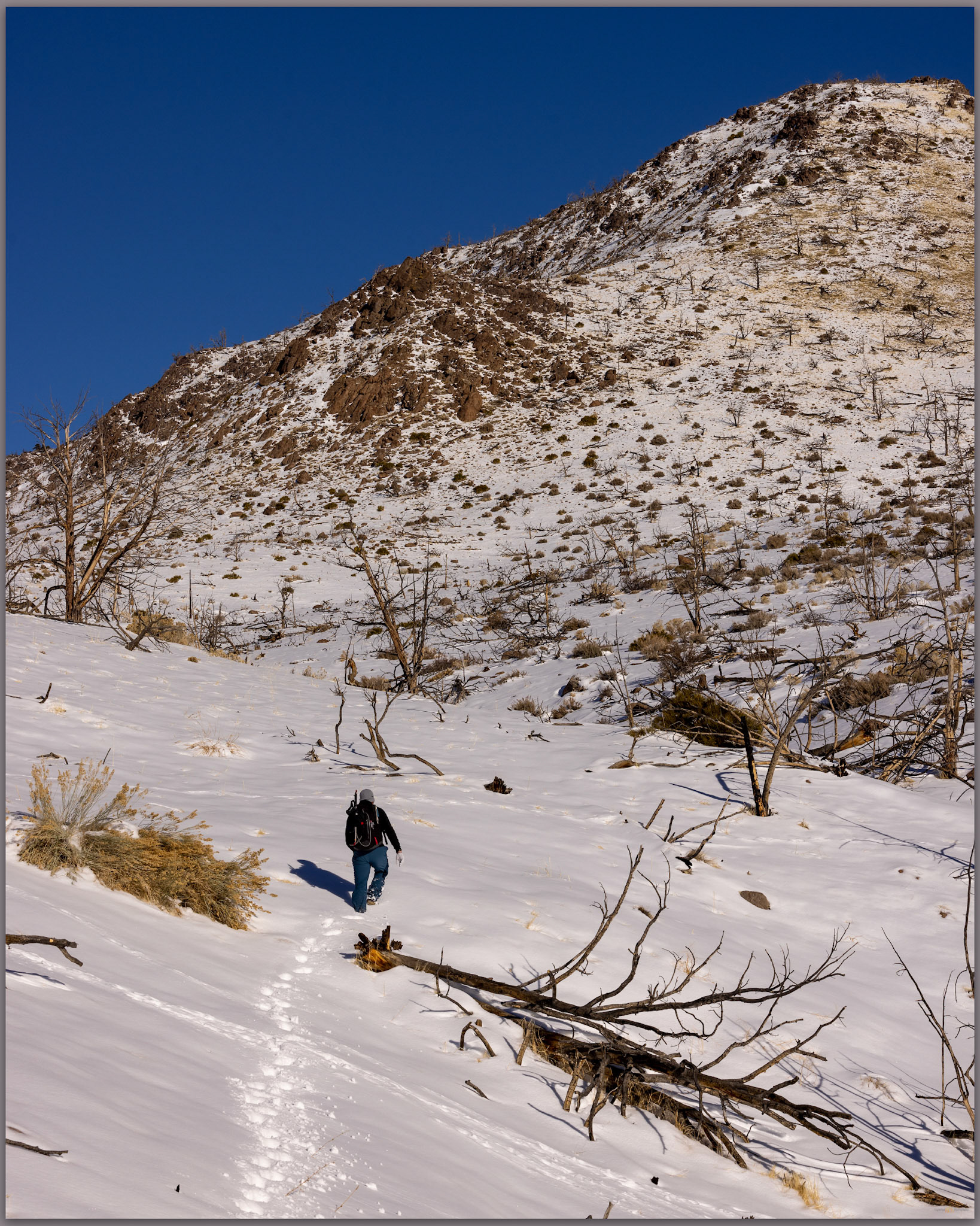 Finding more snow than anticipated, we worked slowly toward Sherman Peak, Paradise Range, Great Basin Desert, NV, USA