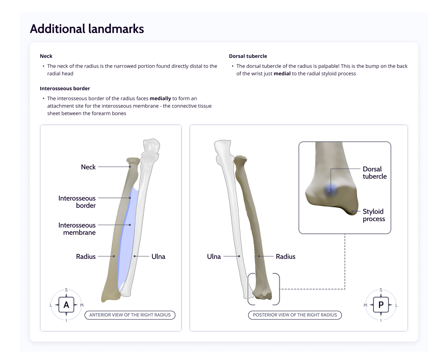 Radius Landmarks