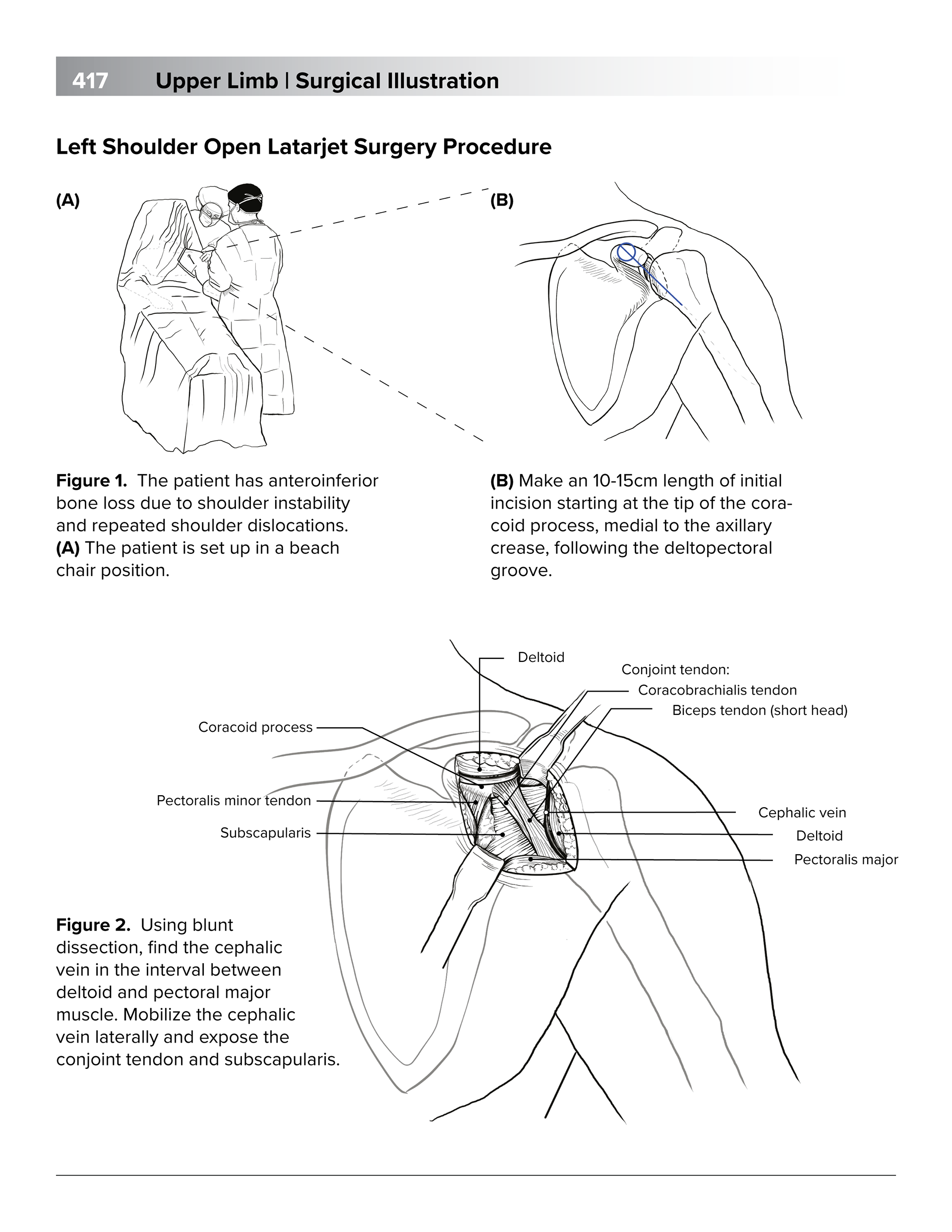 Patient positioning and anatomical structure for orientation