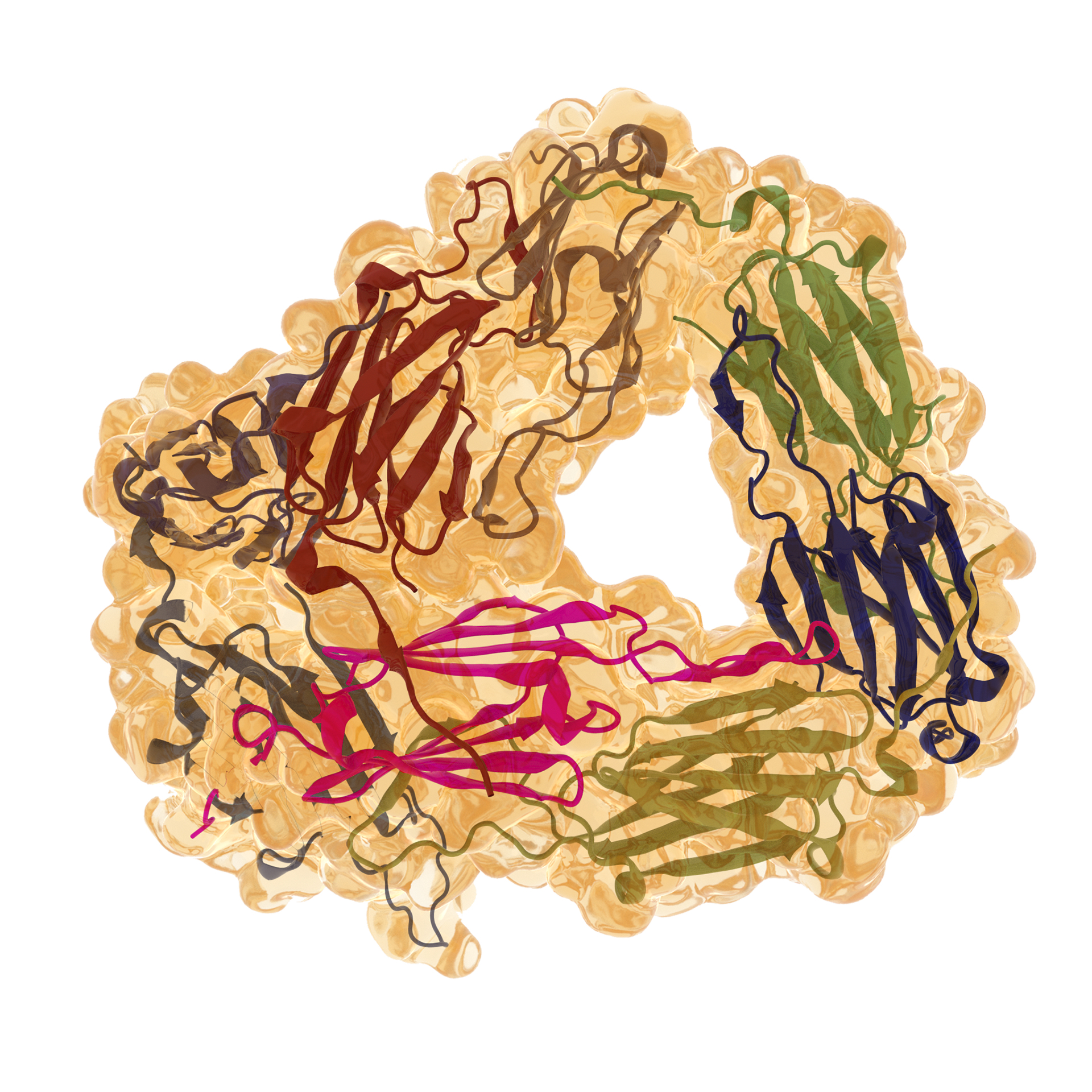 smallHeatShockProtein (Surface and Ribbon)