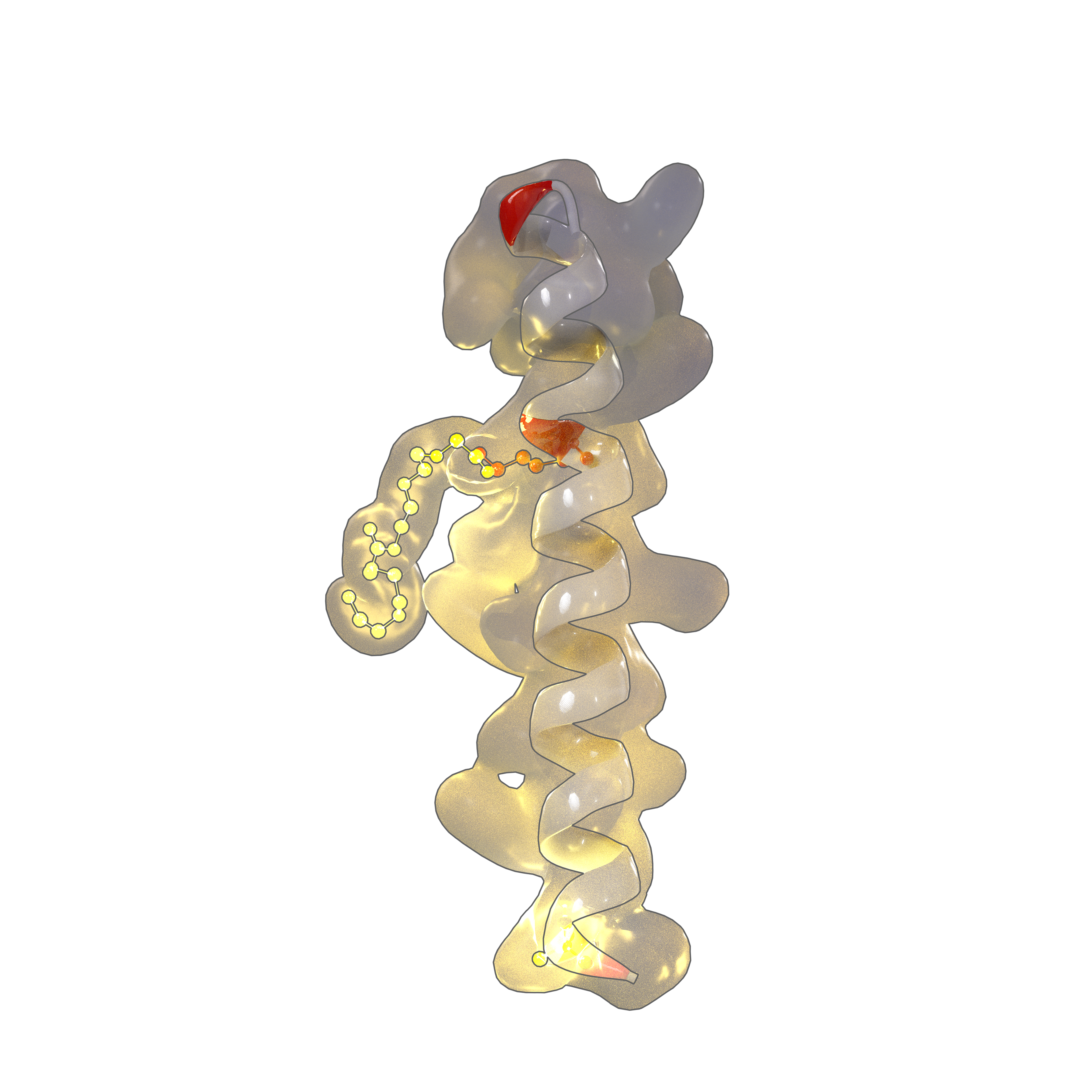 Render style test - Semaglutide