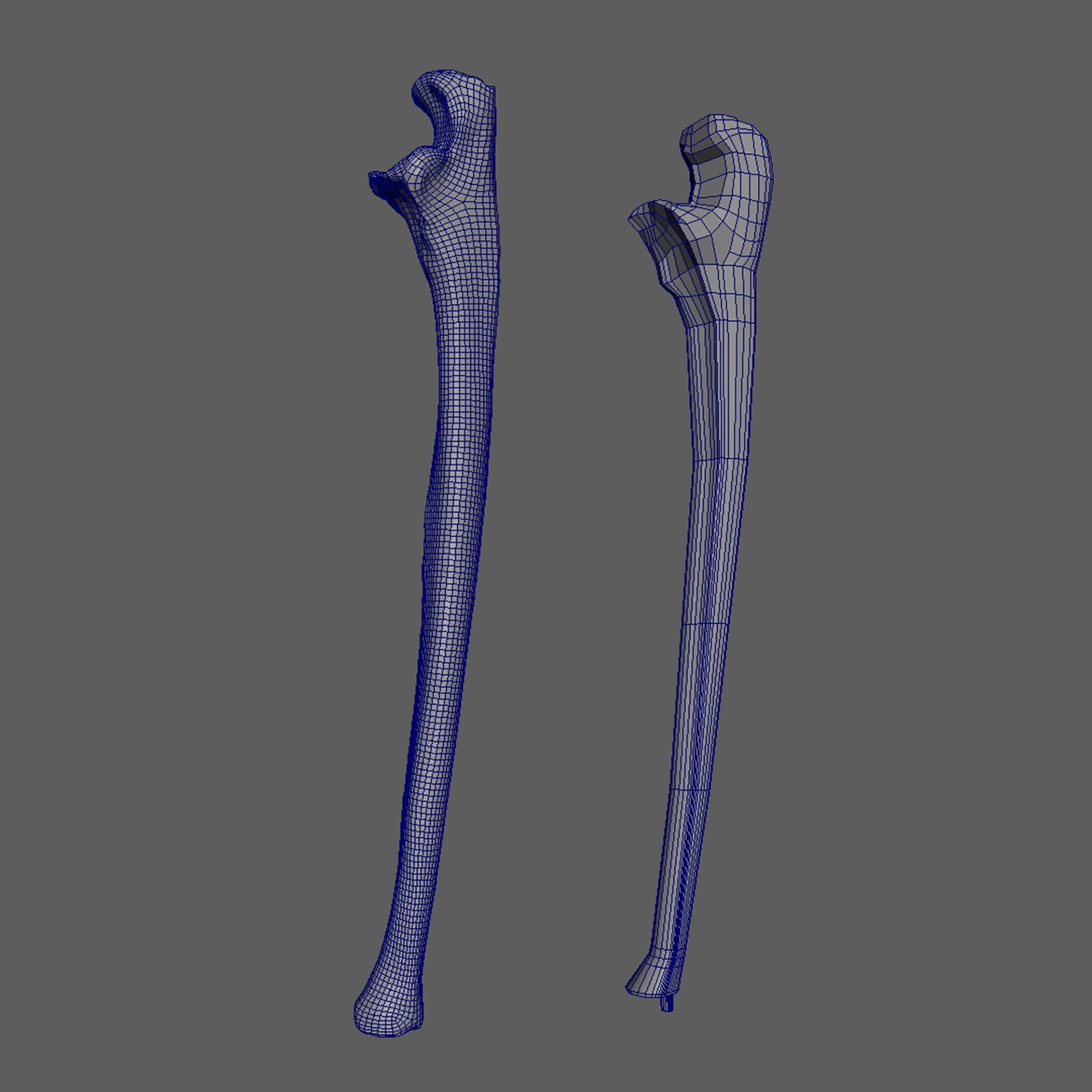 Ulna
