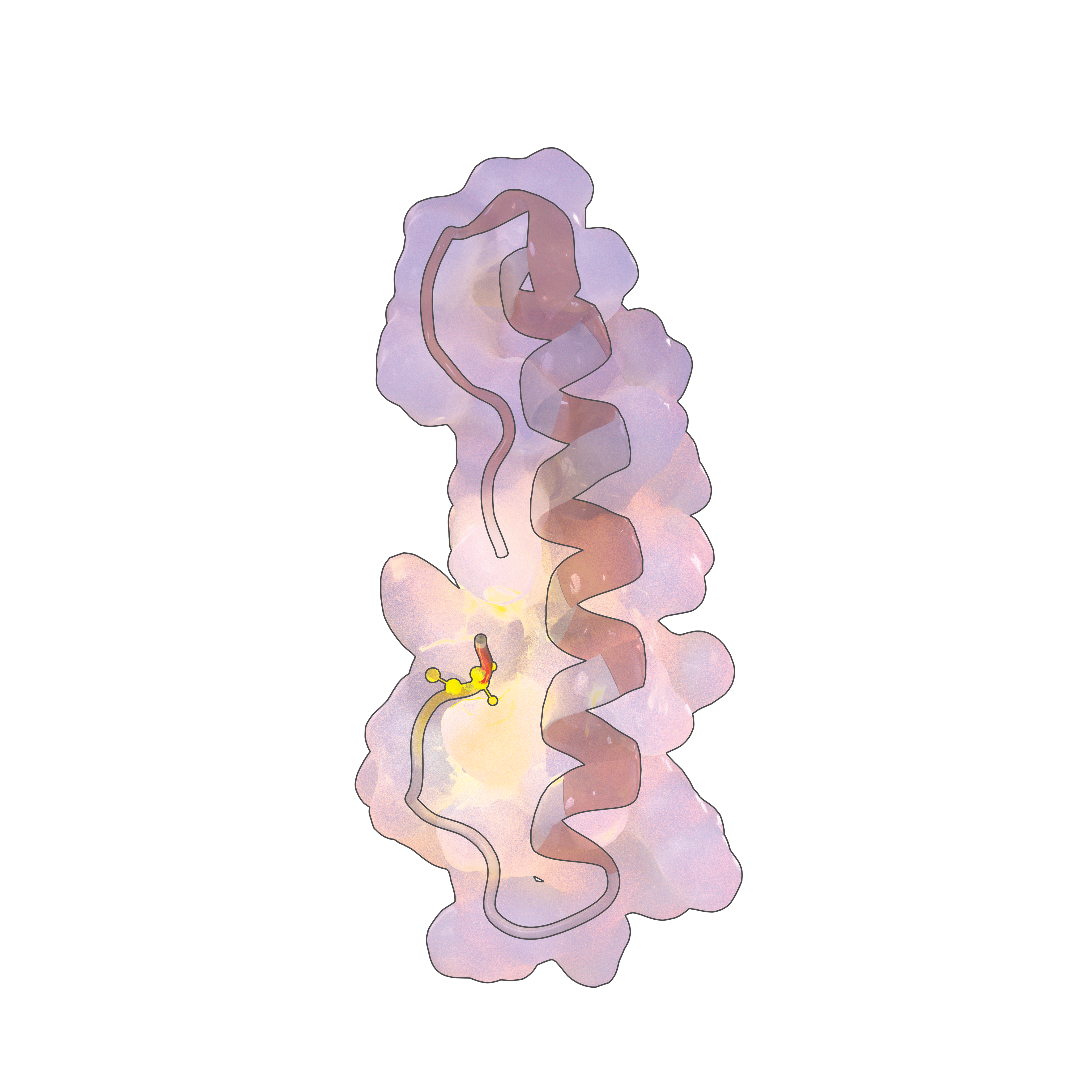 Render style test - Exenatide