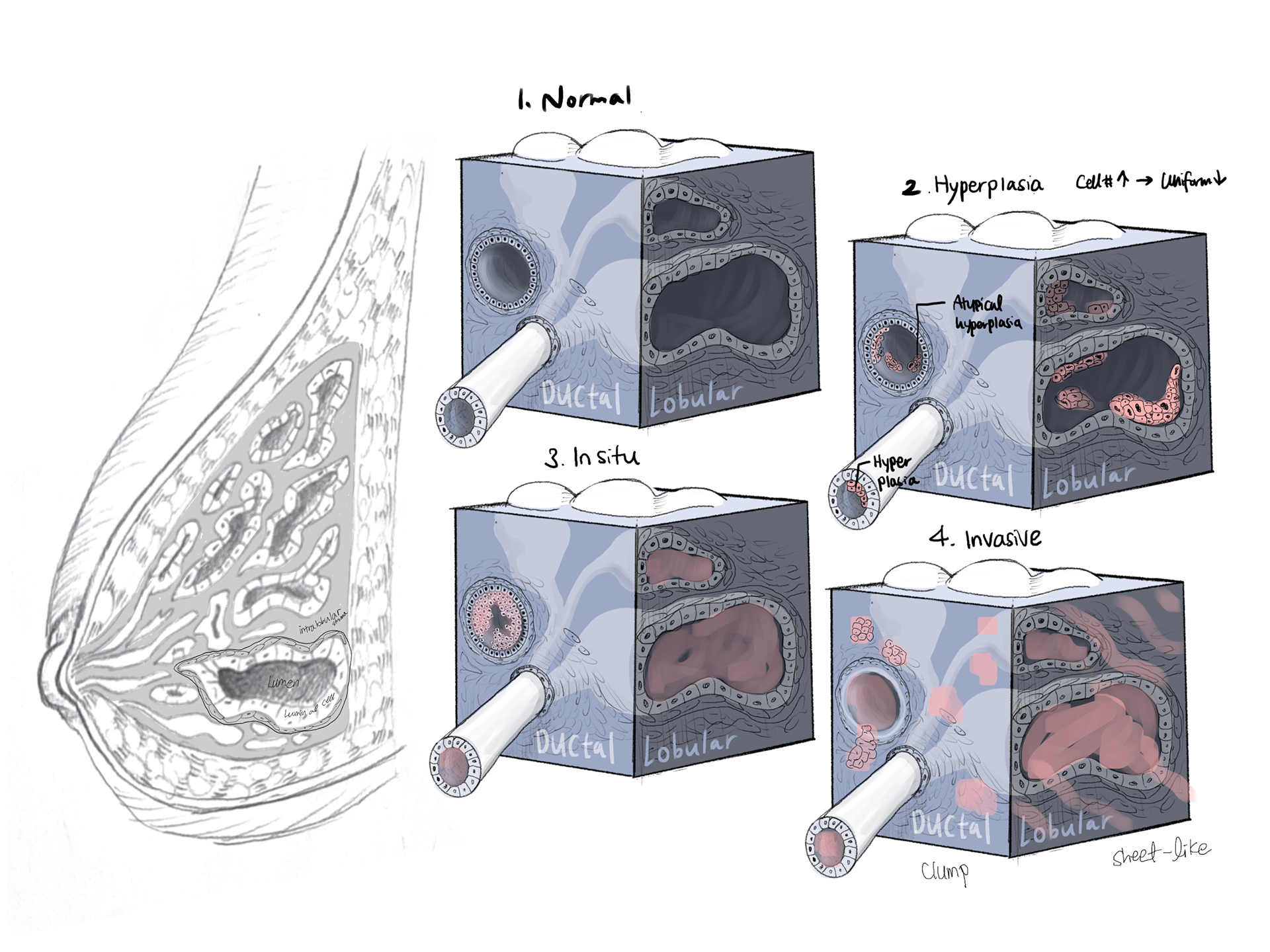 Tissue Cube