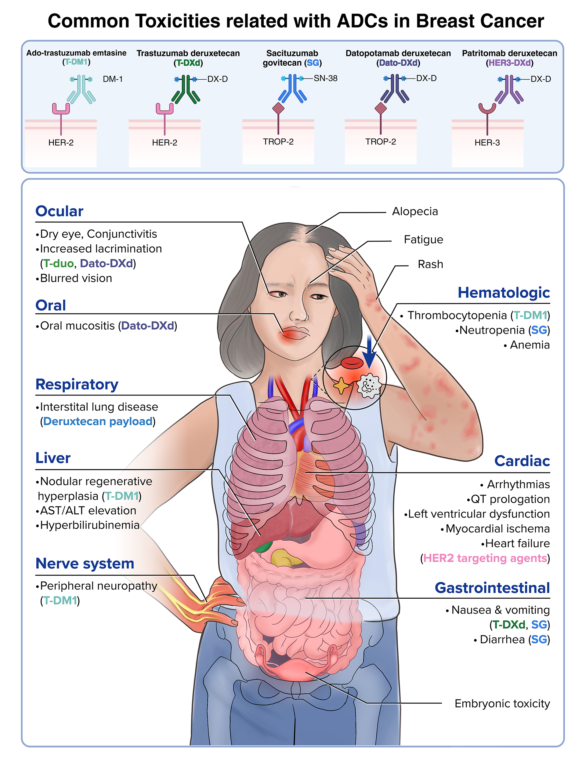 Graphical Abstract