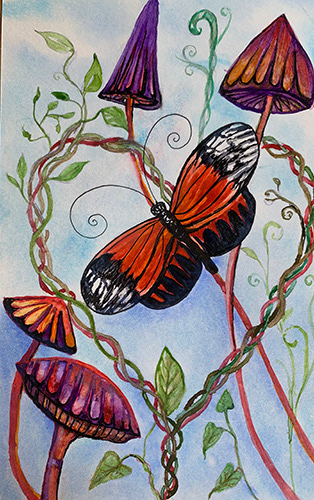 Shrooms and Butterfly