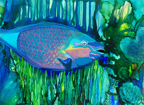Hawaiian Parrotfish