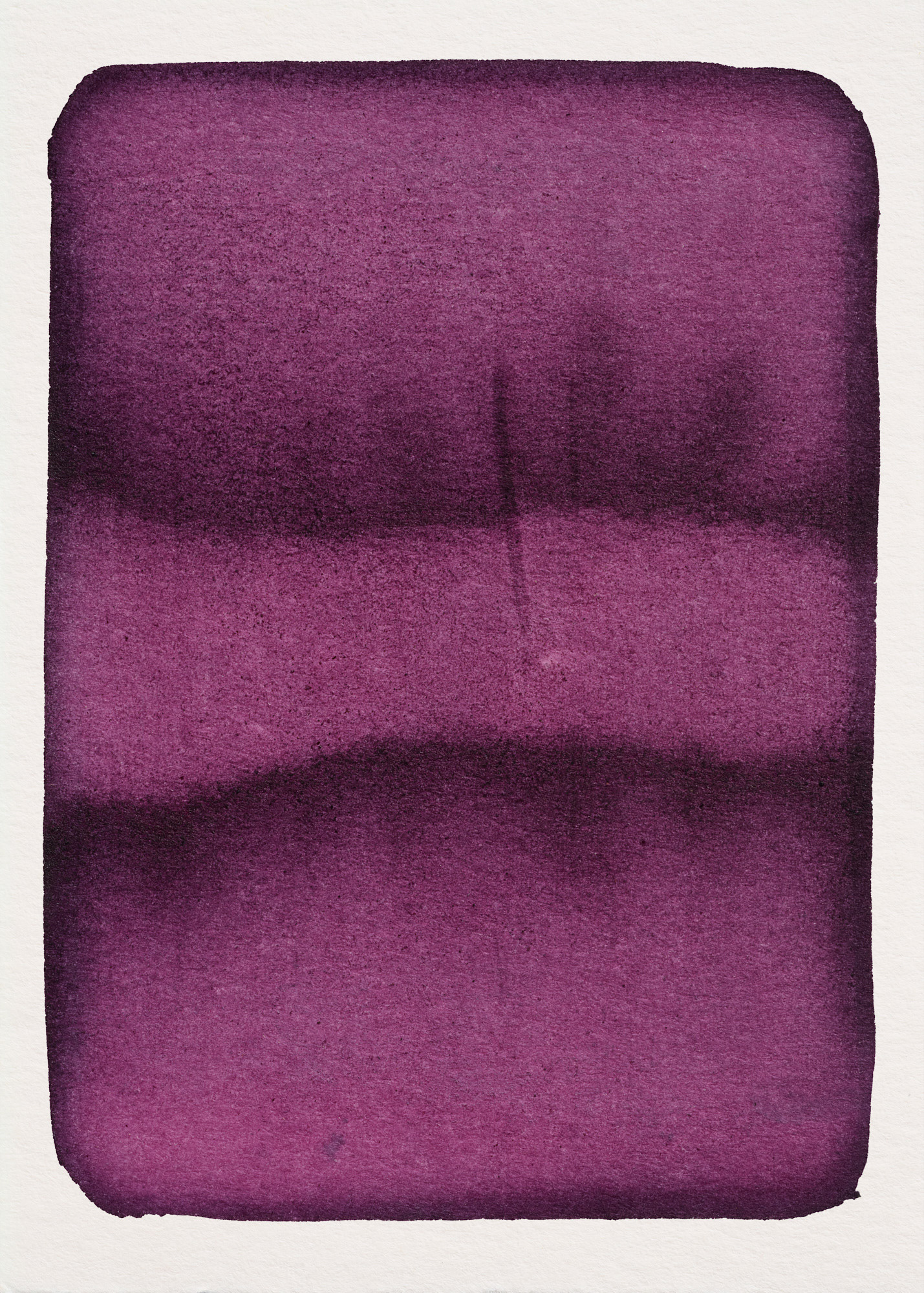 Cochenille N°1.0