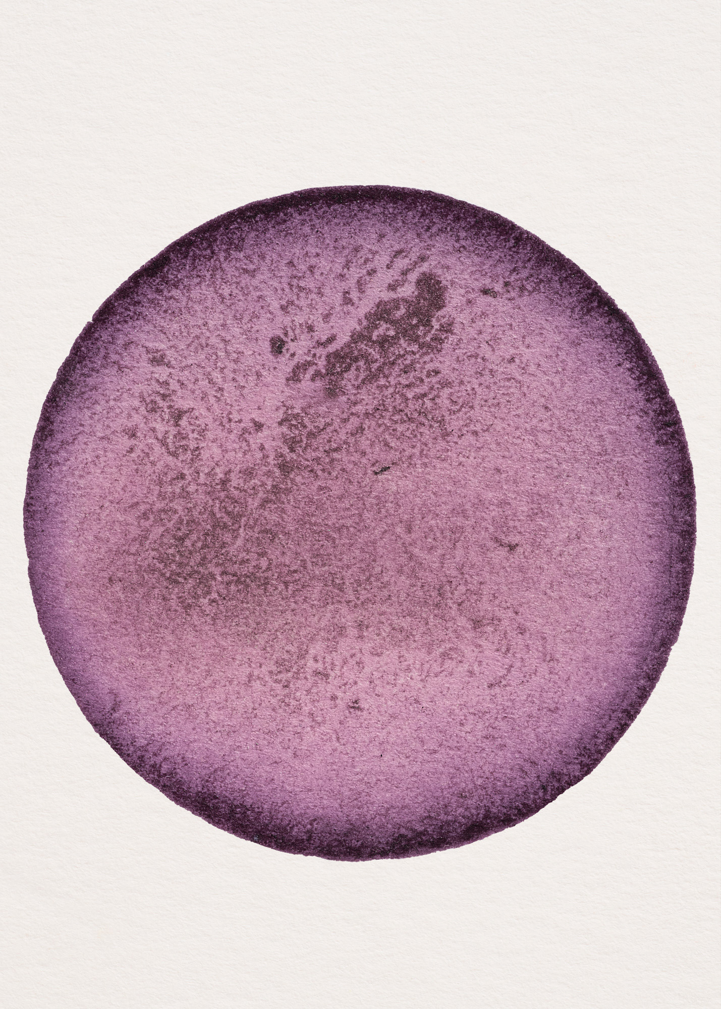 Cochenille N°1.1