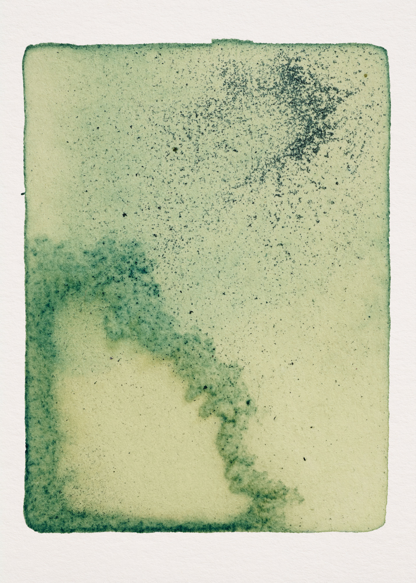 Iris Bleu N°1.0