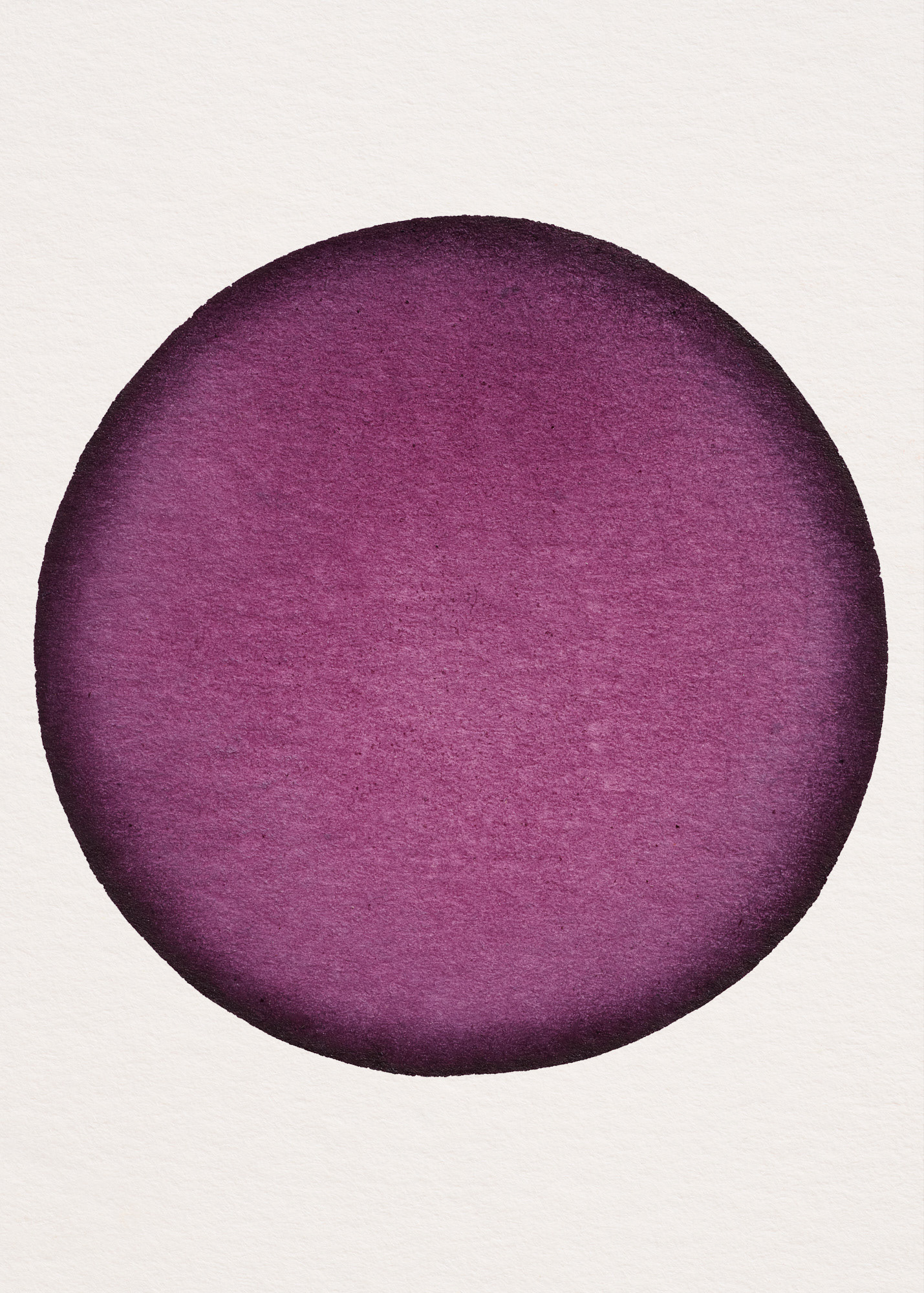 Cochenille N°1.2