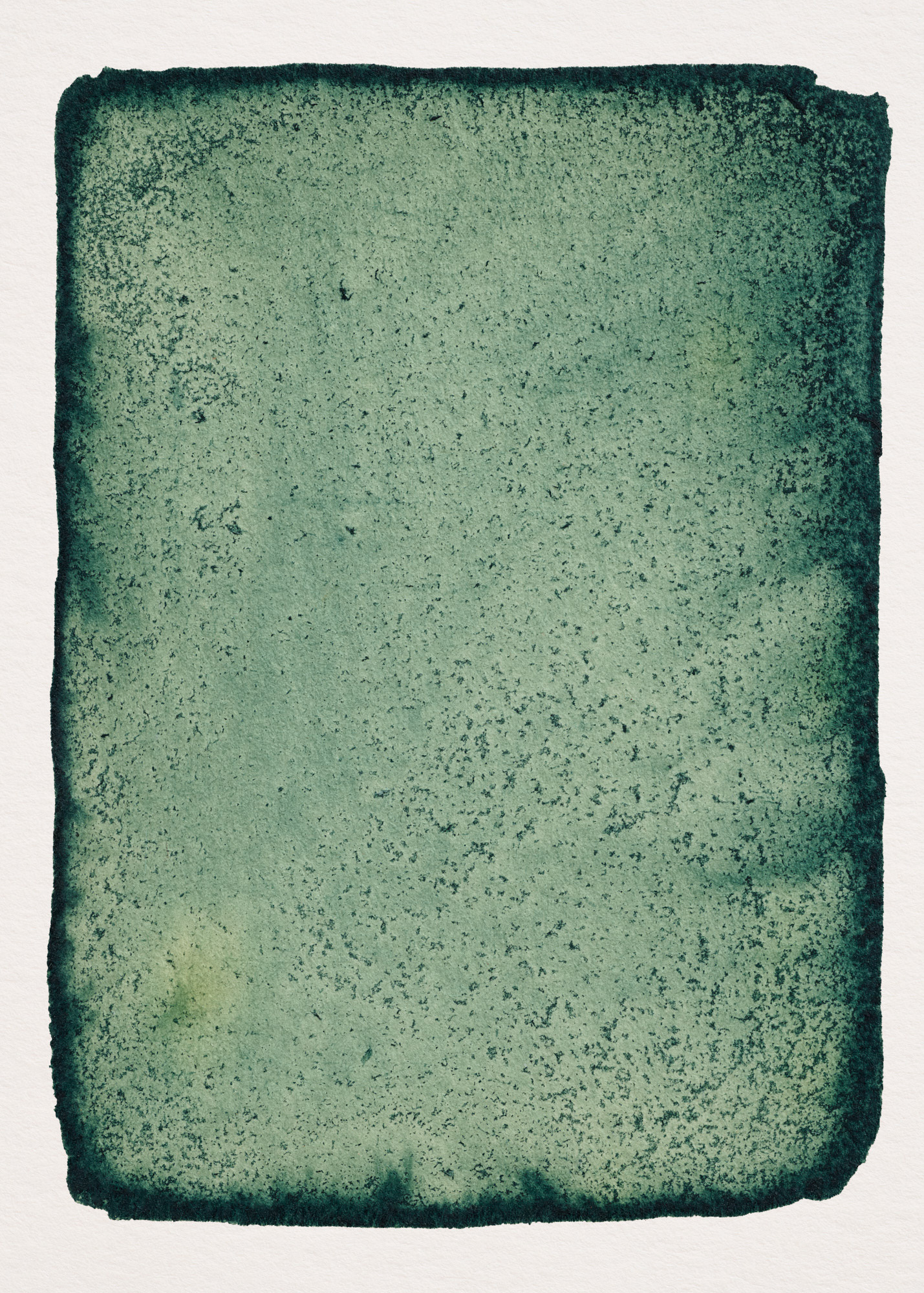 Iris Bleu N°1.1