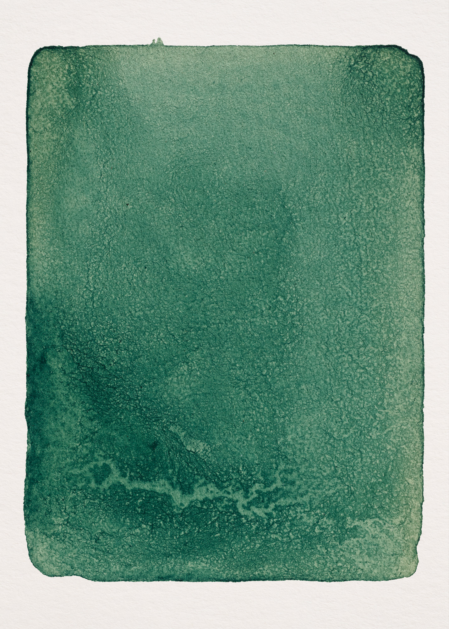 Iris N°1.1