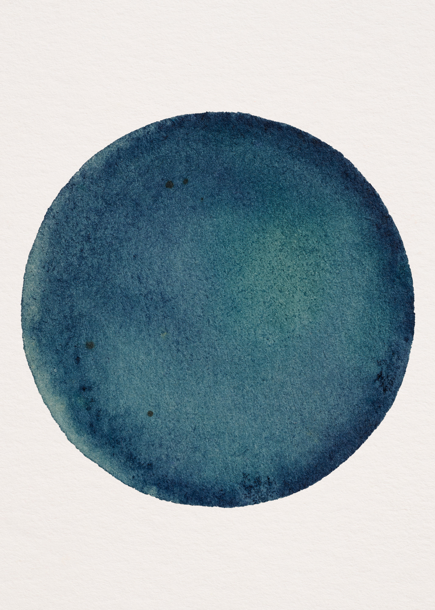 Iris Bleu N°1.2