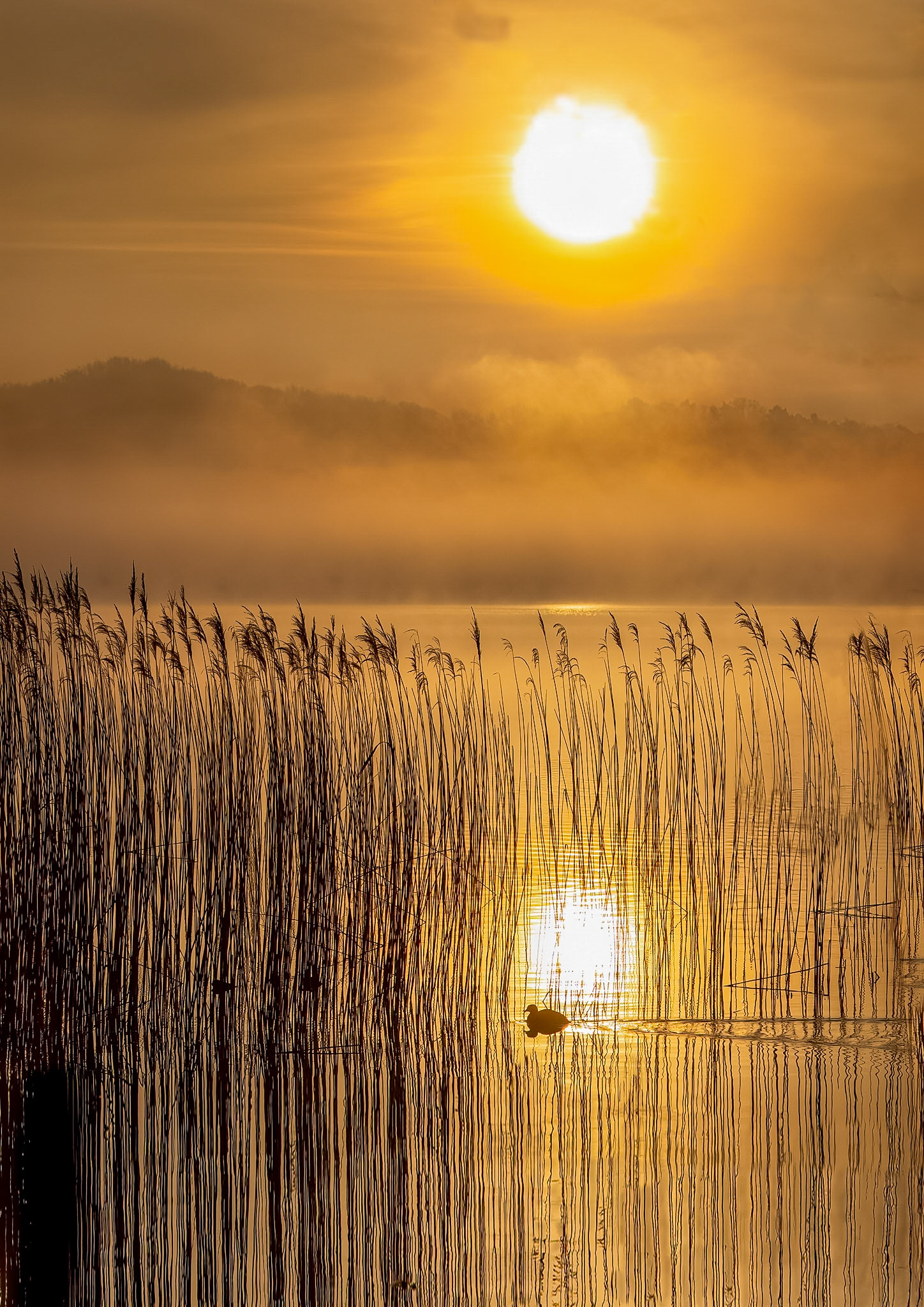 Solopgang ved Esrun sø på en tidlig forårs morgen.