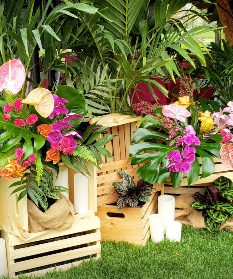 YPO Tropical Getaway