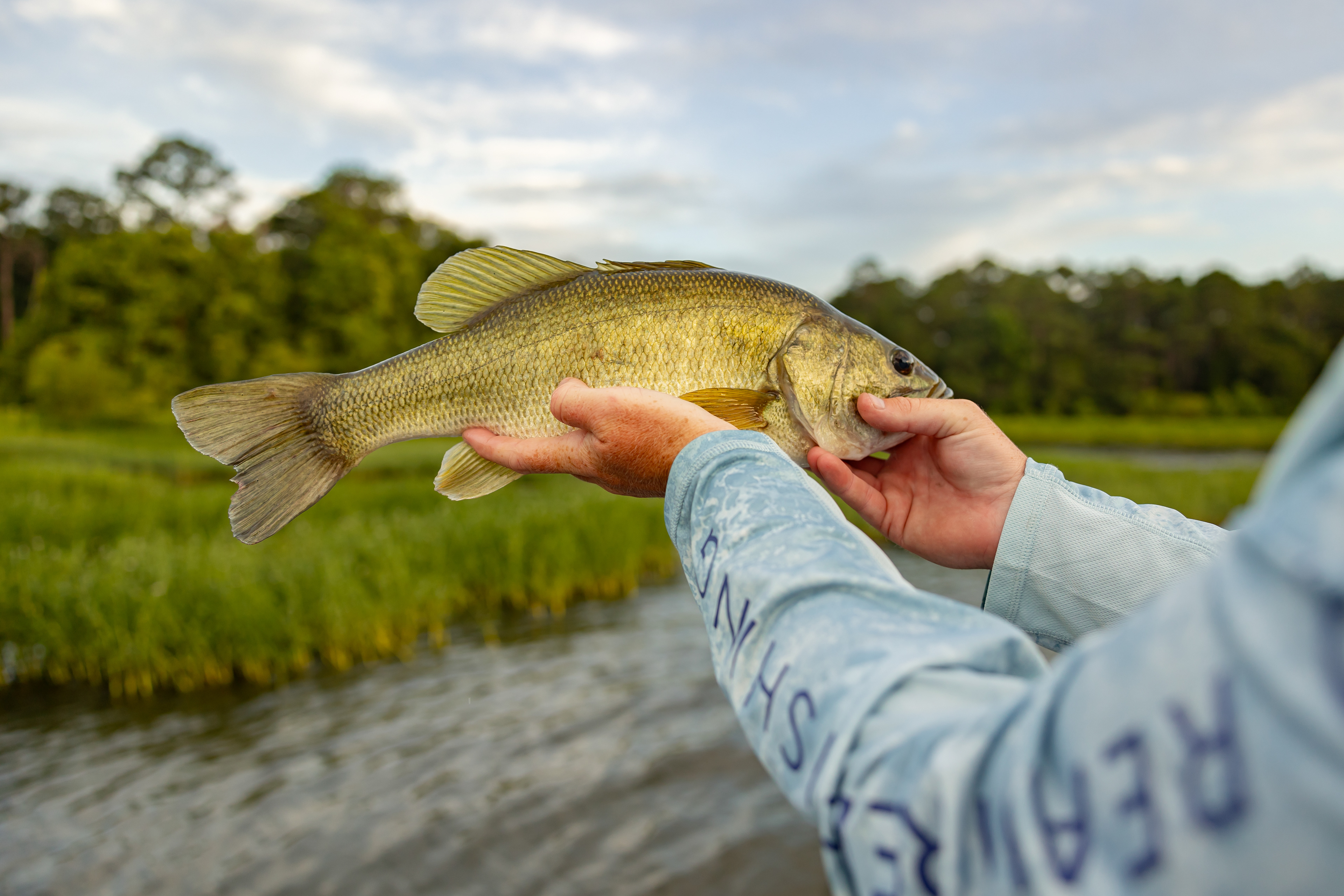 large mouth bass at lake eufala being held by an angler wearing a Realtree fishing shirt