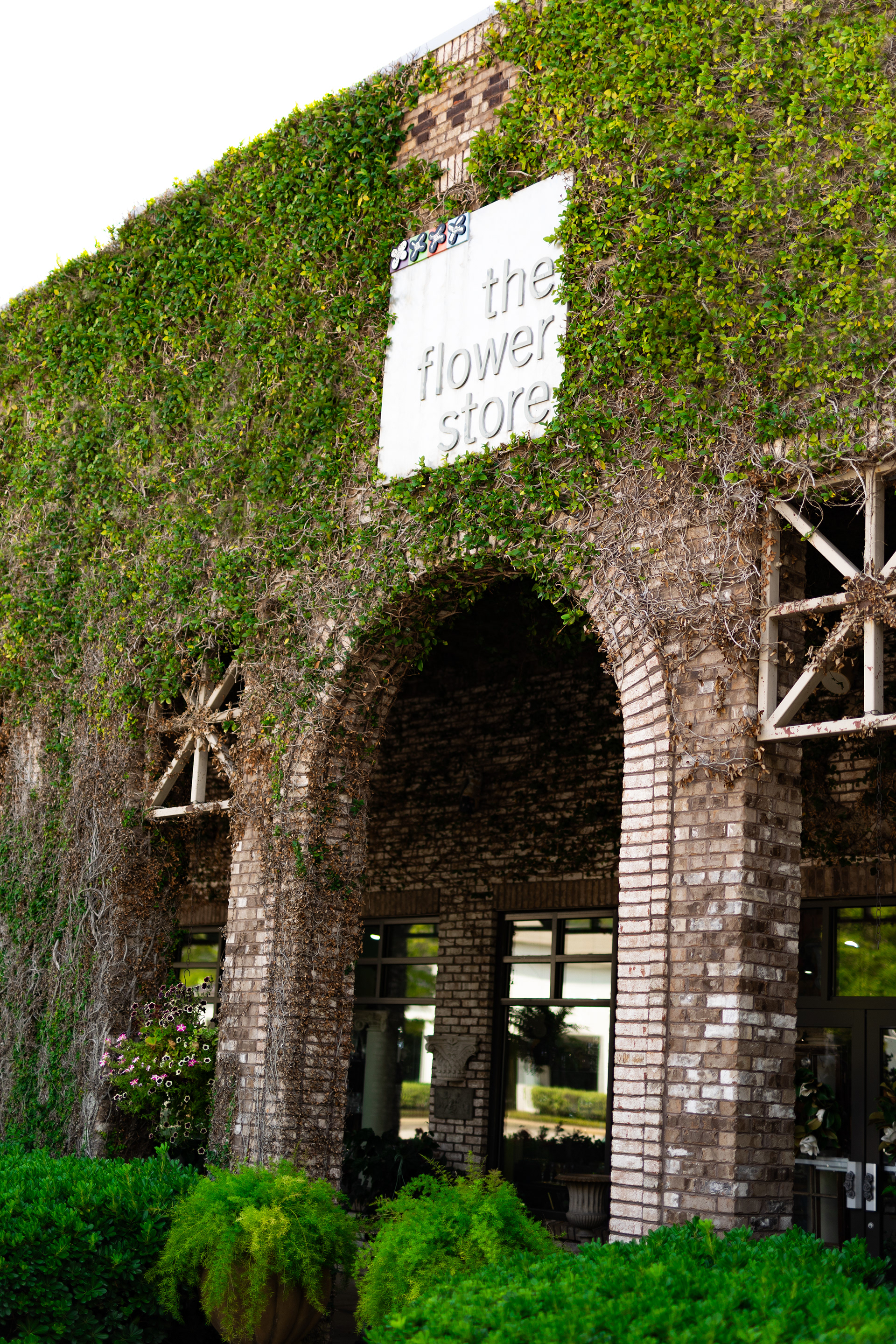the outside of the Flower Store in Auburn Alabama. wall covered in plants
