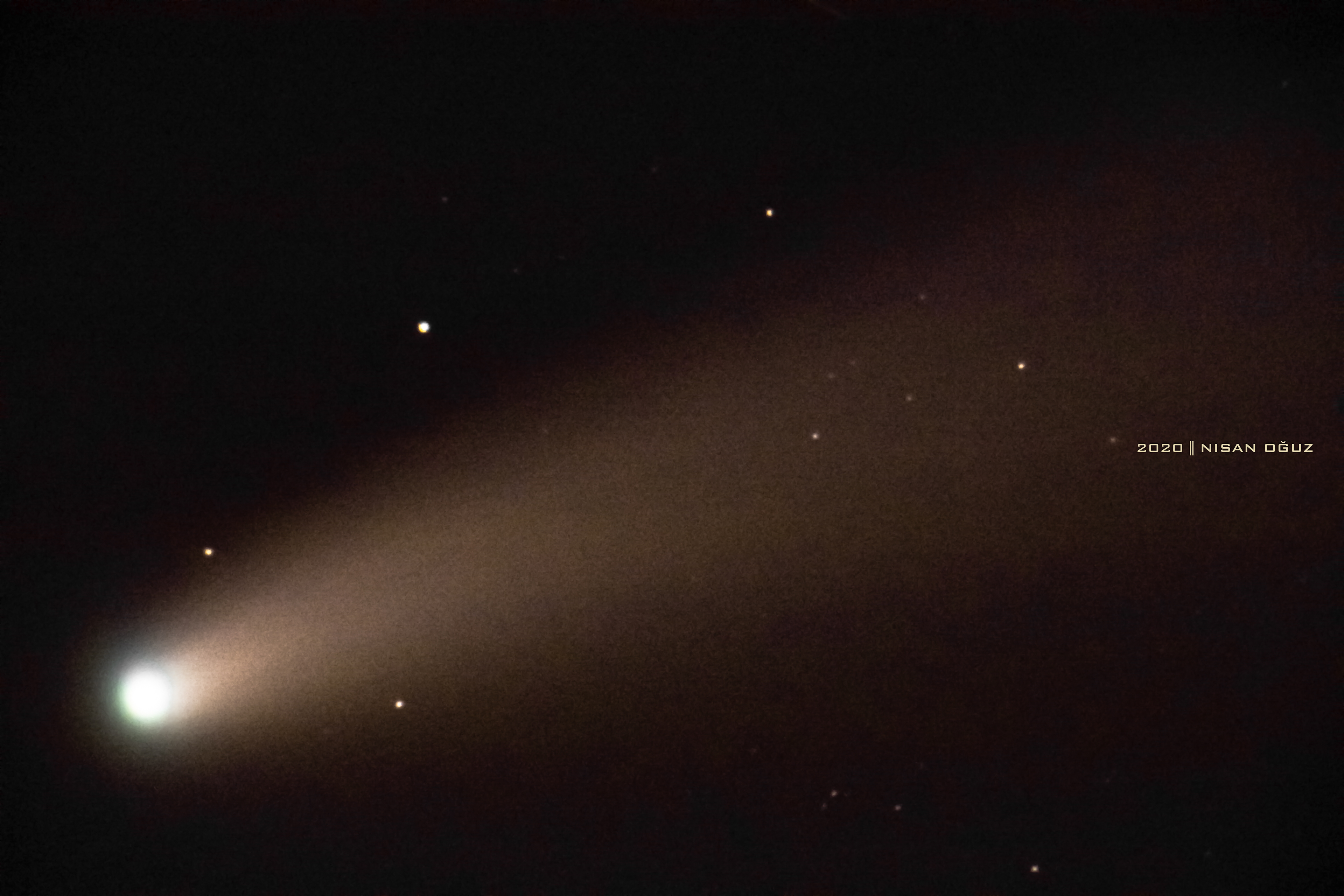 Neowise Comet