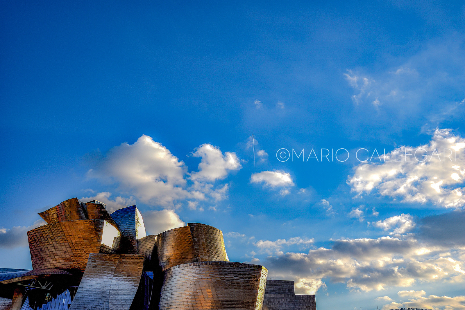 Guggenhem Museum - Bilbao - Arch. Frank Gehry