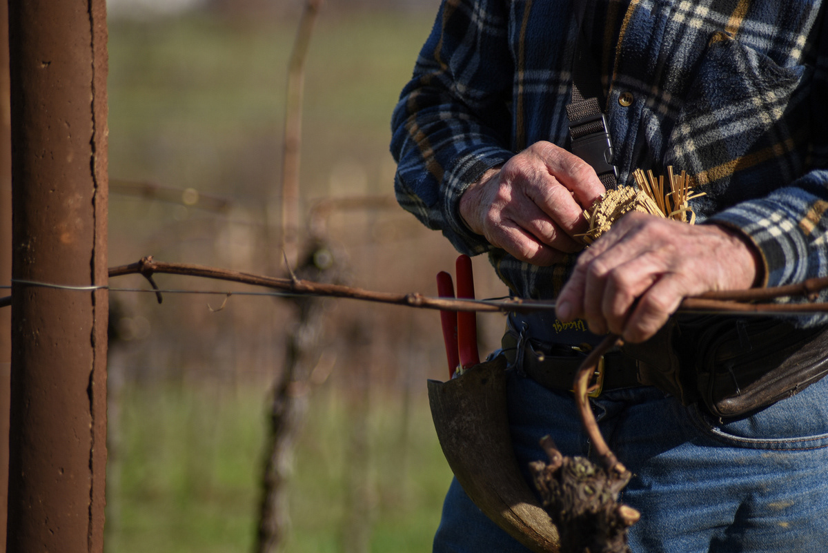 Azienda Agricola Di Gaspero, Faedis