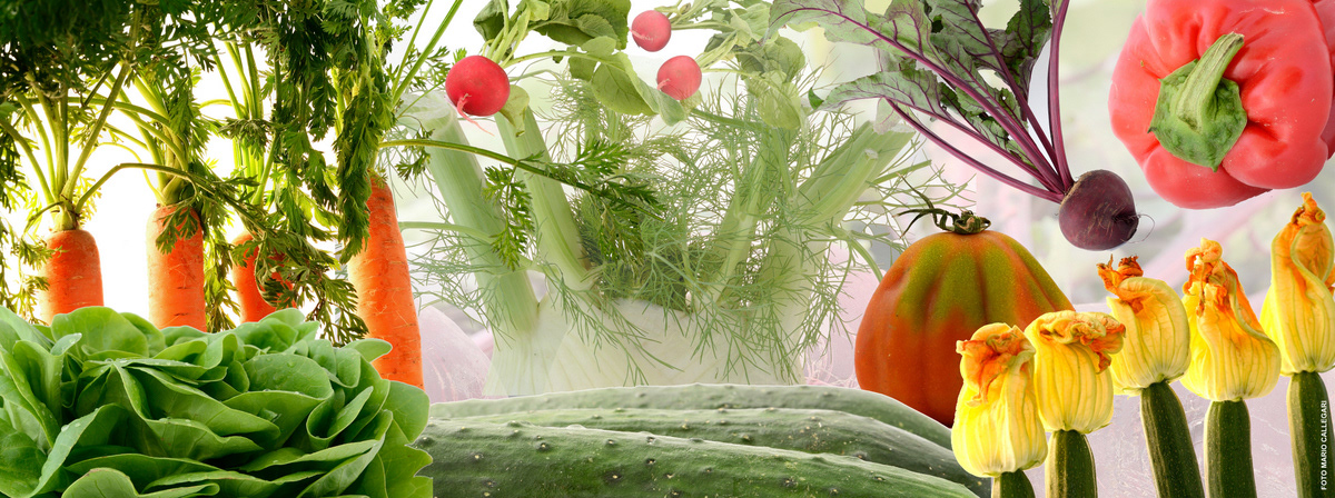 Pannello decorativo per spaccio frutta e verdura