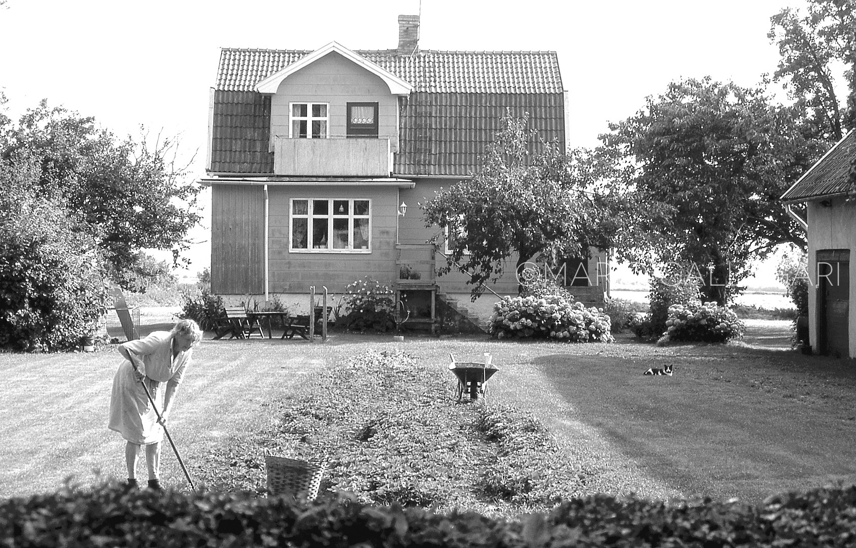 Campagna svedese 2003