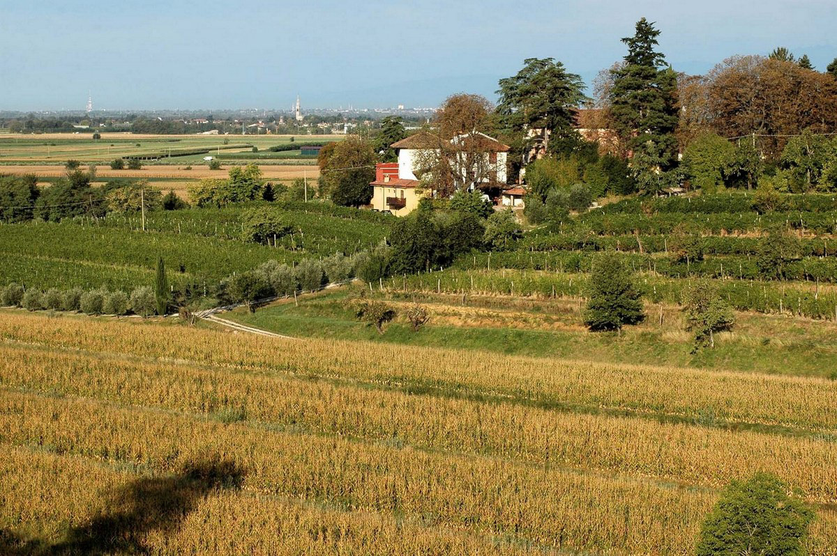Azienda agricola Stroppolatini, Gagliano di Cividale