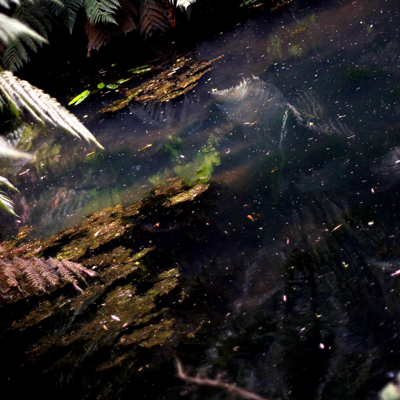 Cornish Photography Project