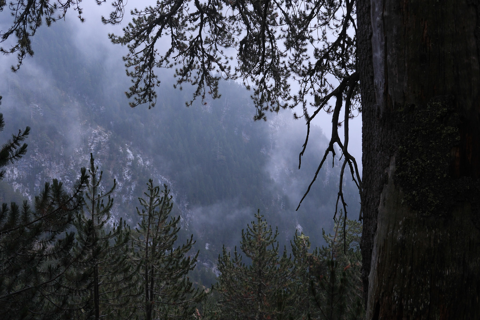 Untitled , Mt Olympus 2025