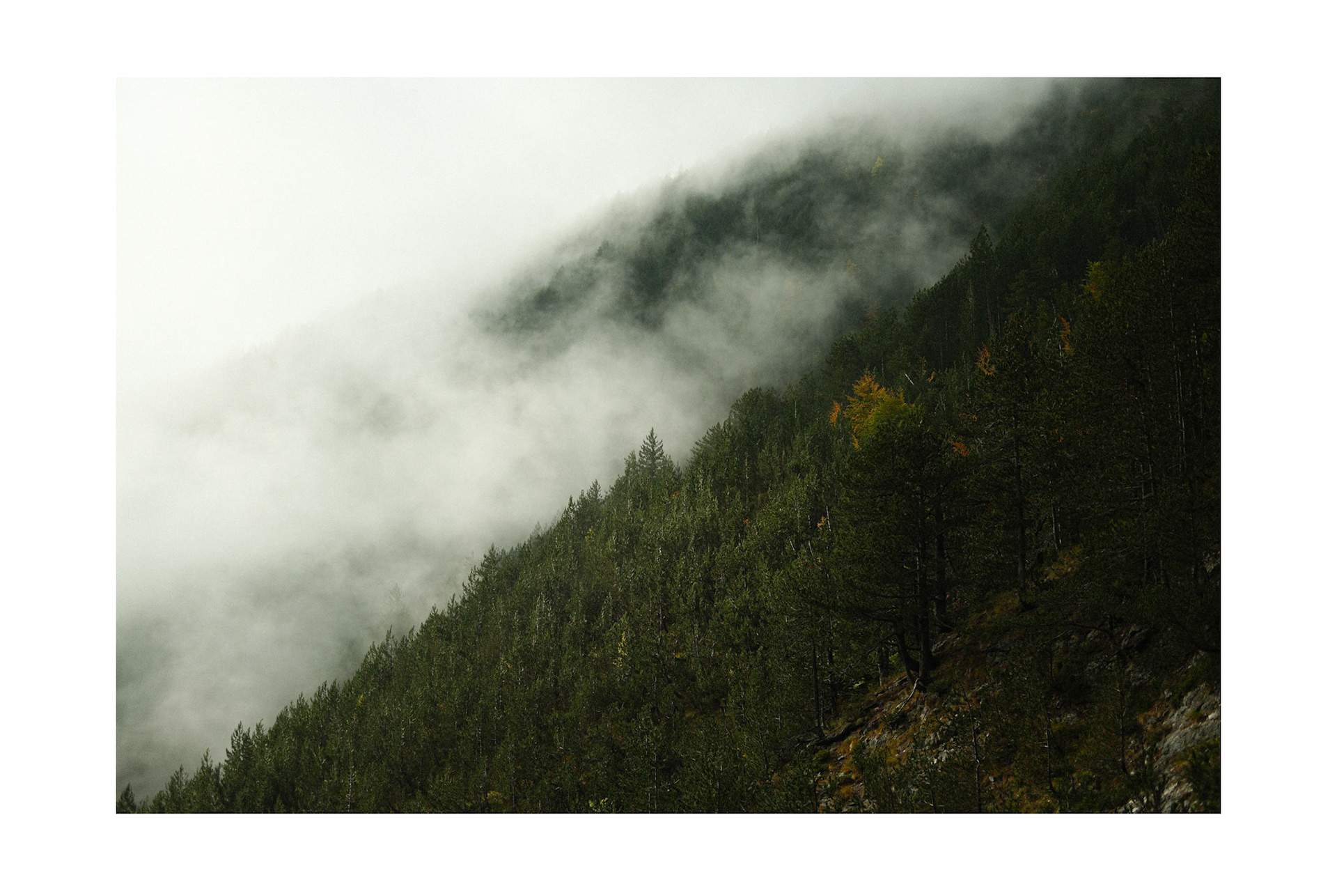 Untitled , Mt Olympus 2025