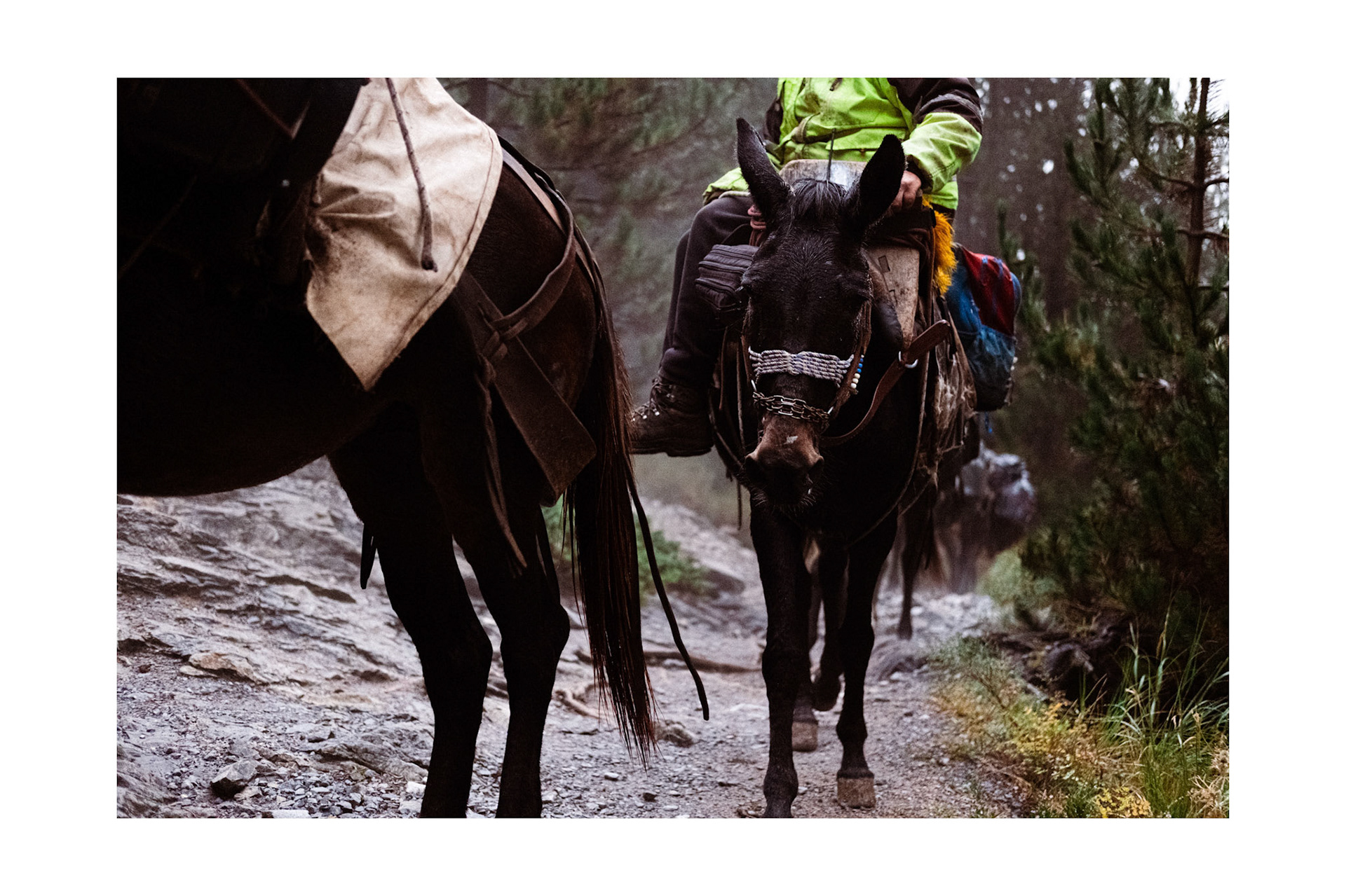 Untitled , Mt Olympus 2025