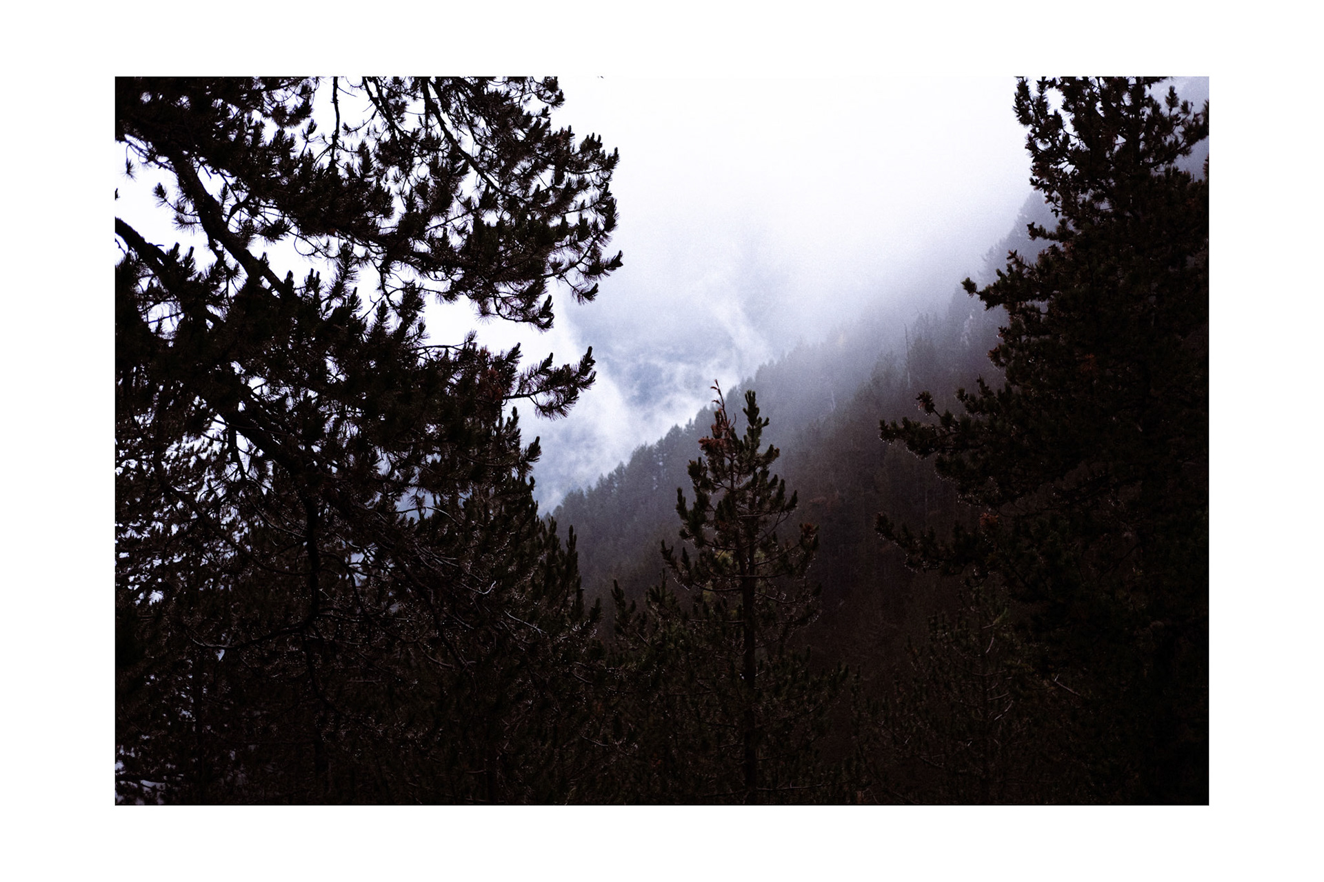 Untitled , Mt Olympus 2025