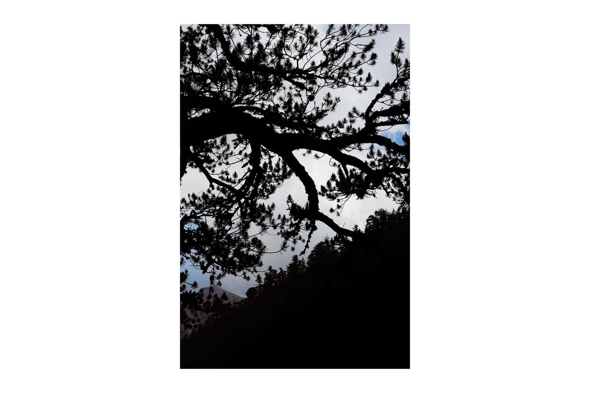 Untitled , Mt Olympus 2025