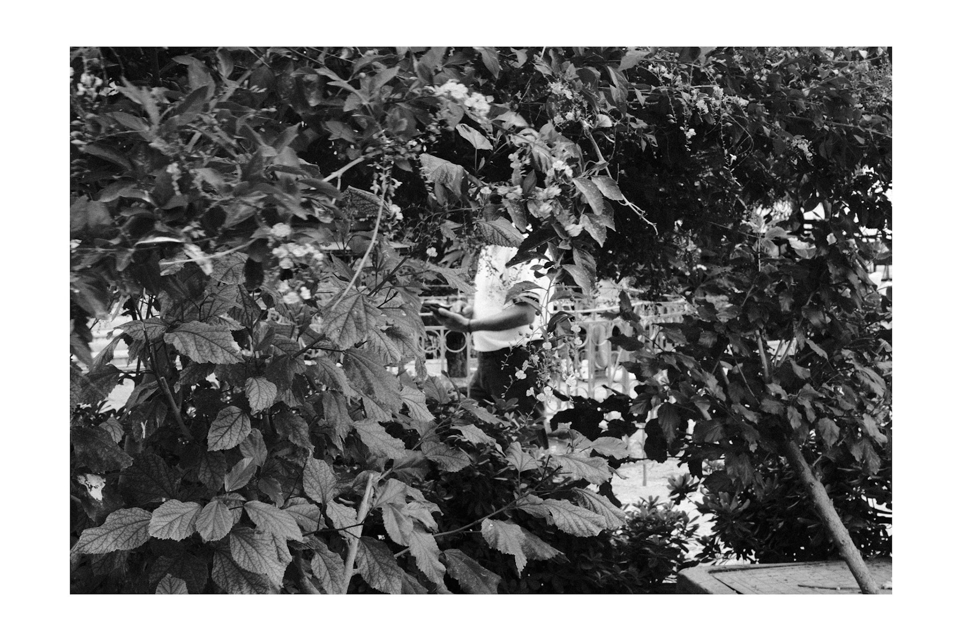 Untitled , Heraklion 2025