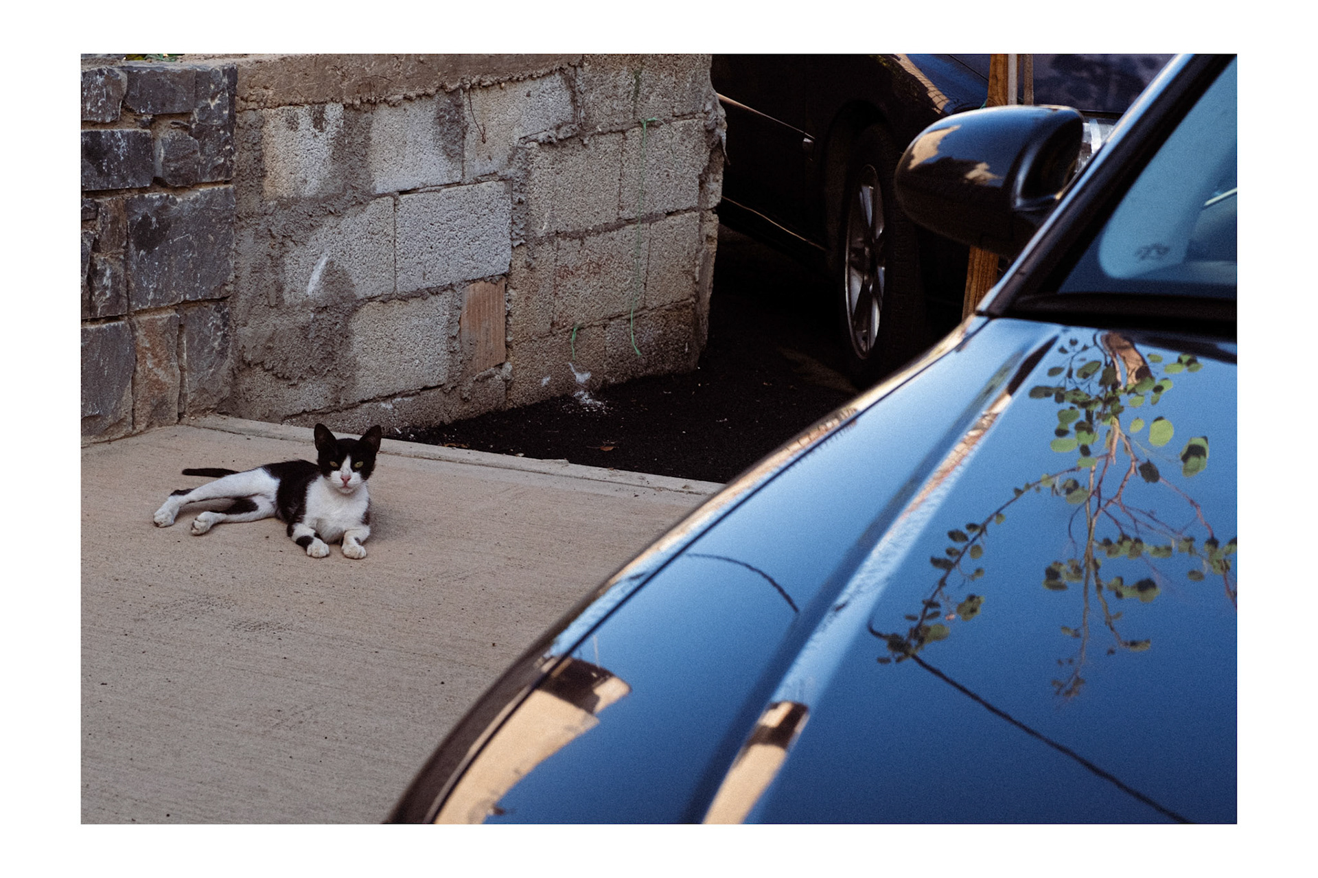 Untitled , Chania 2025