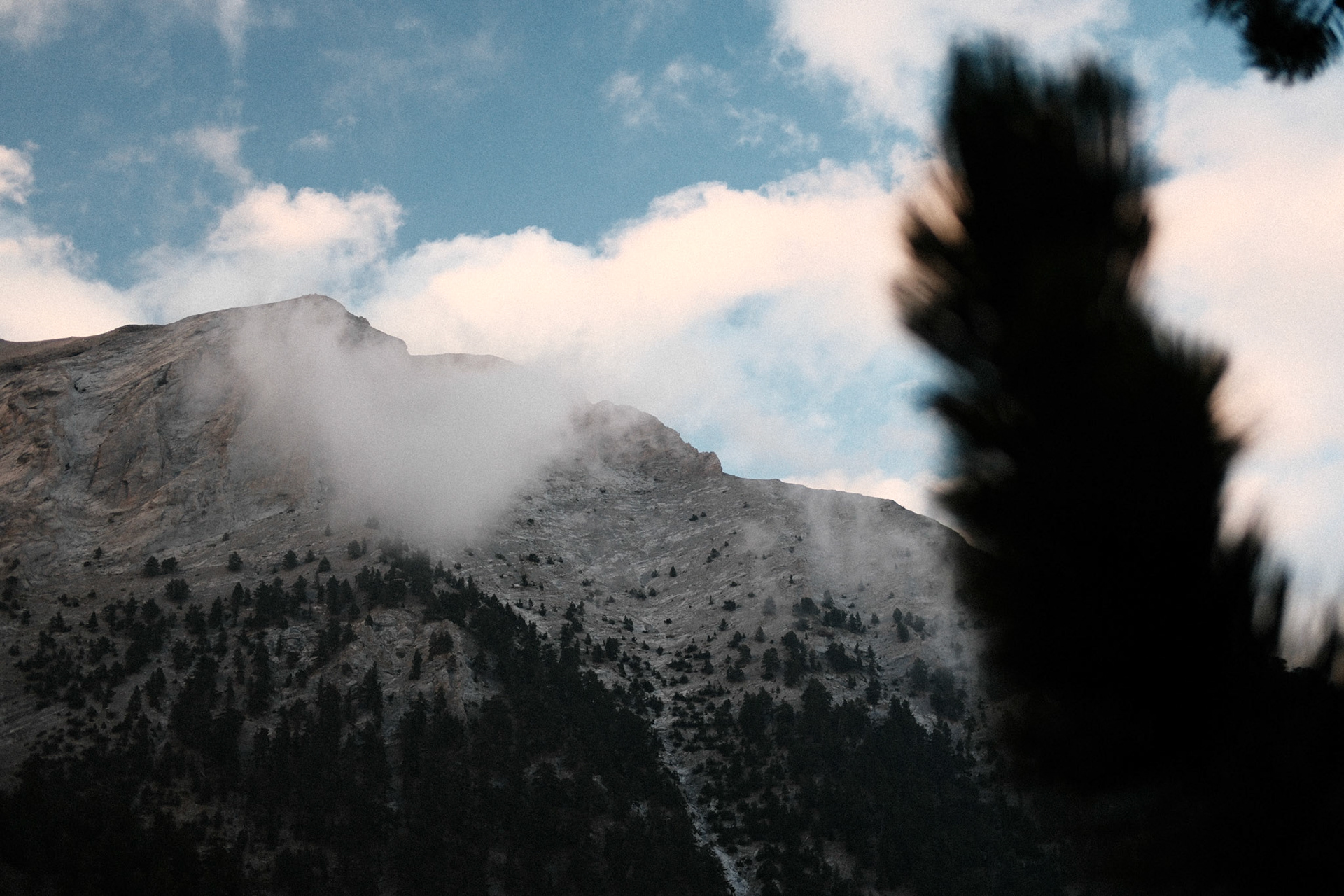 Untitled , Mt Olympus 2025