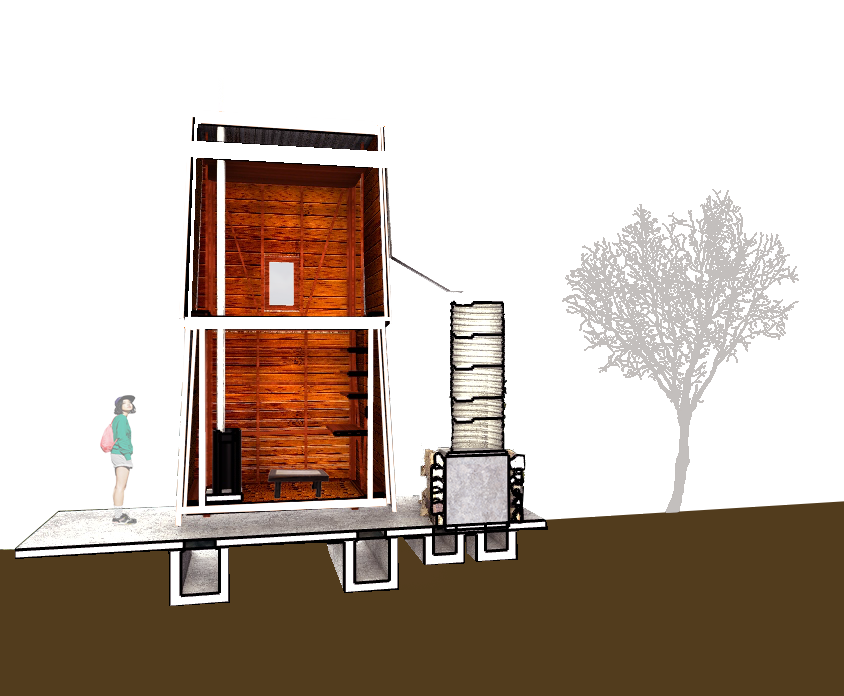 Perspective Section