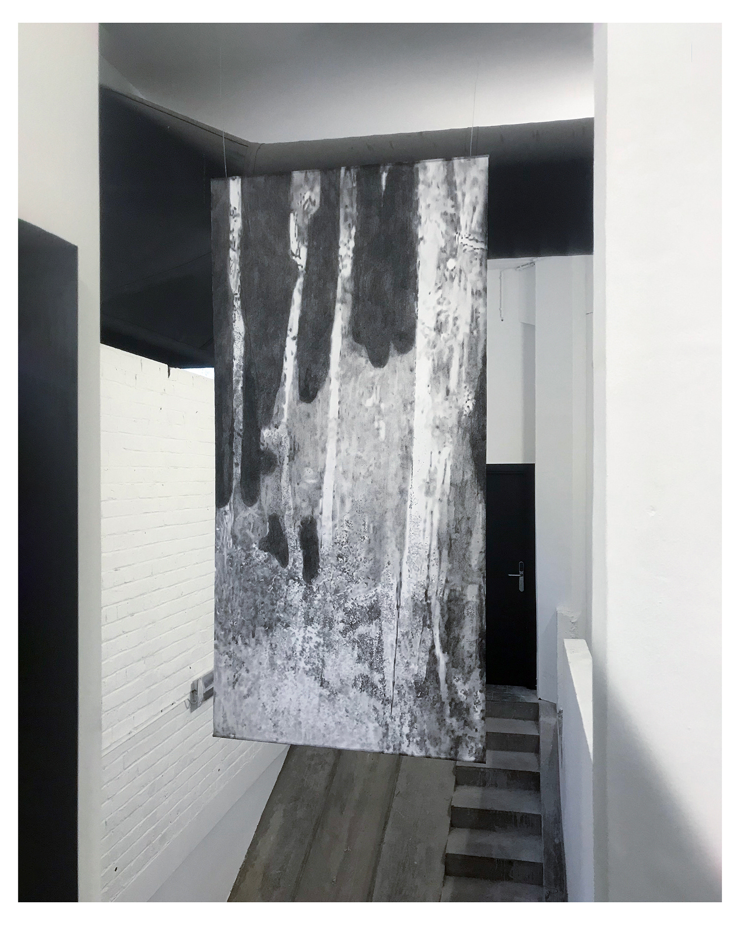 The transparent forest turns black Anzhelika Lebedeva. OPEK Openbaar Entrepot voor de Kunsten. OPEK Leuven. Japanese rice paper. Work on paper. Contemporary drawing. Abstract drawing on paper. Abstract painting landscape. Installation art. Anzhelika Lebedeva artist. Анжелика лебедева современная художница. Oil pastels drawing on rice paper. Disegno pastelli a olio su carta di riso. Carta giapponese disegni. Contemporary installation art. Paper installation art