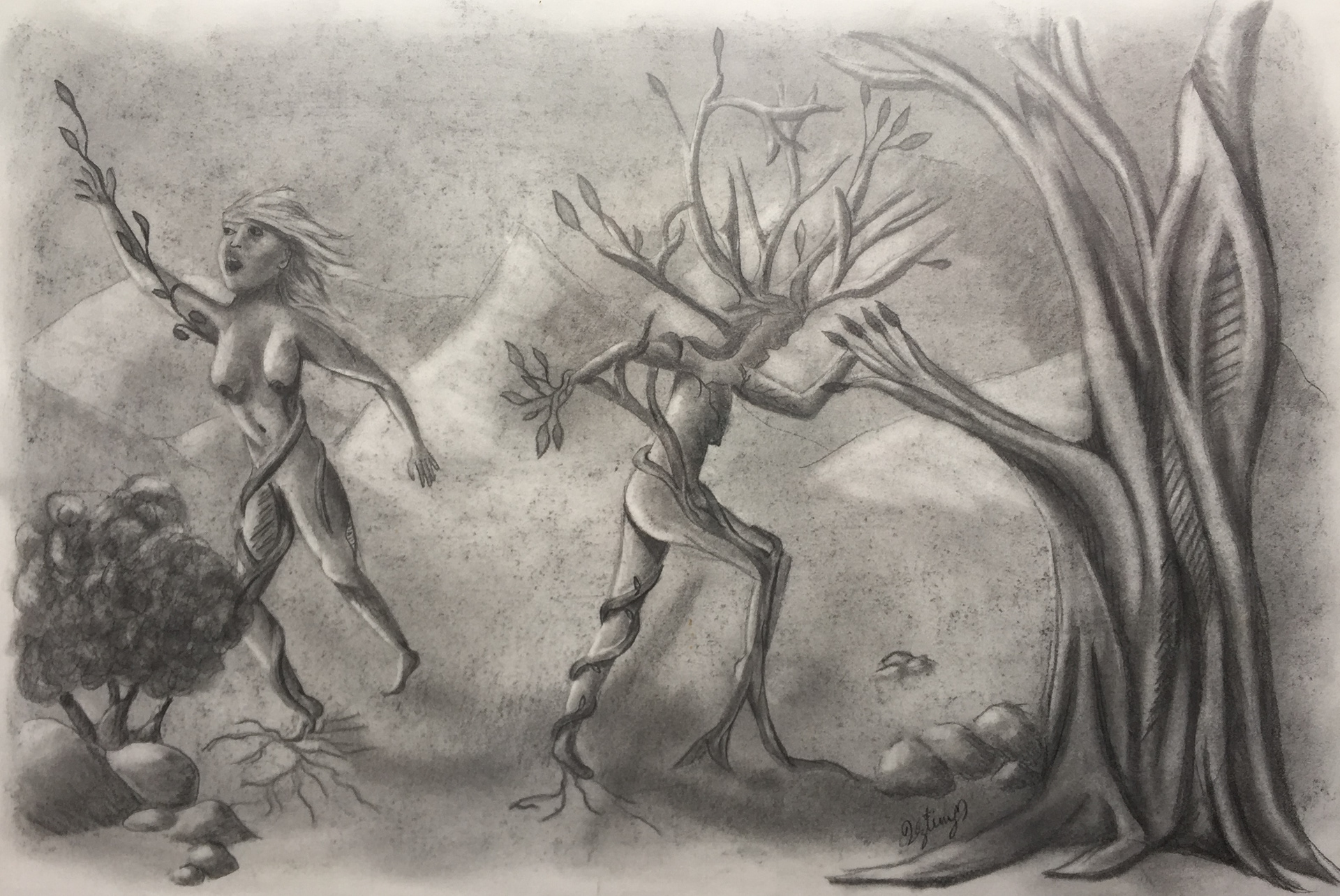 Women Transform'd to Trees