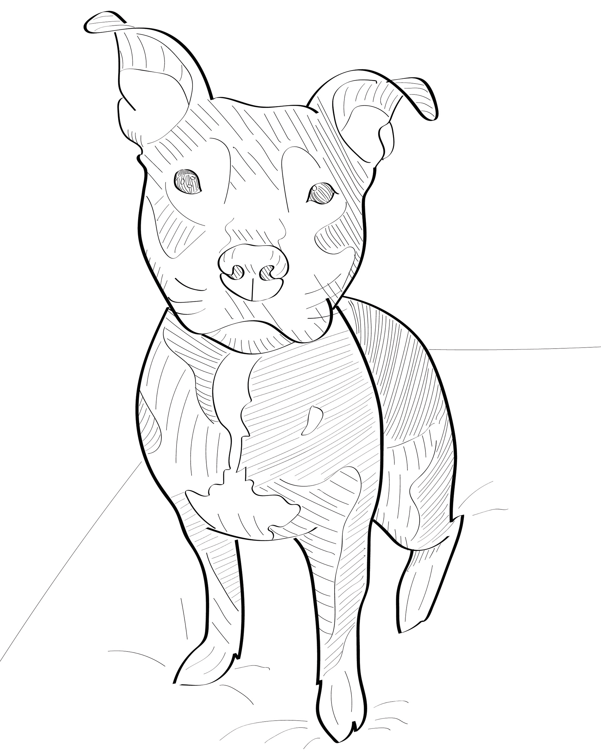 Rocco