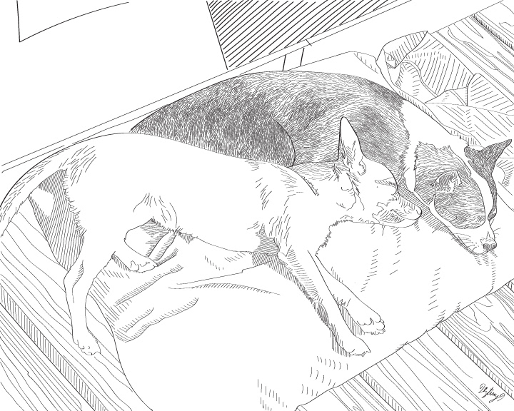 Foxy & Zoey