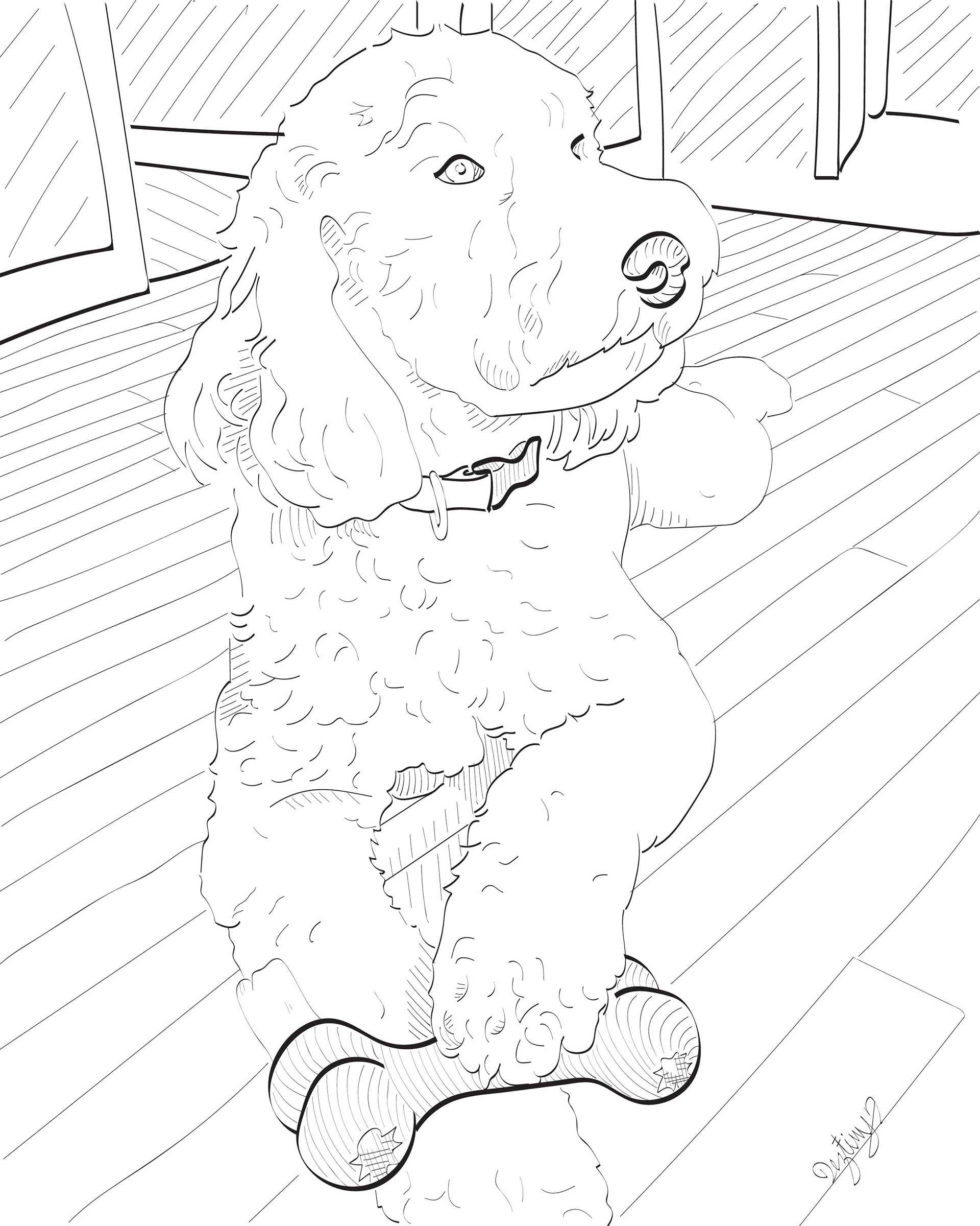 Bear