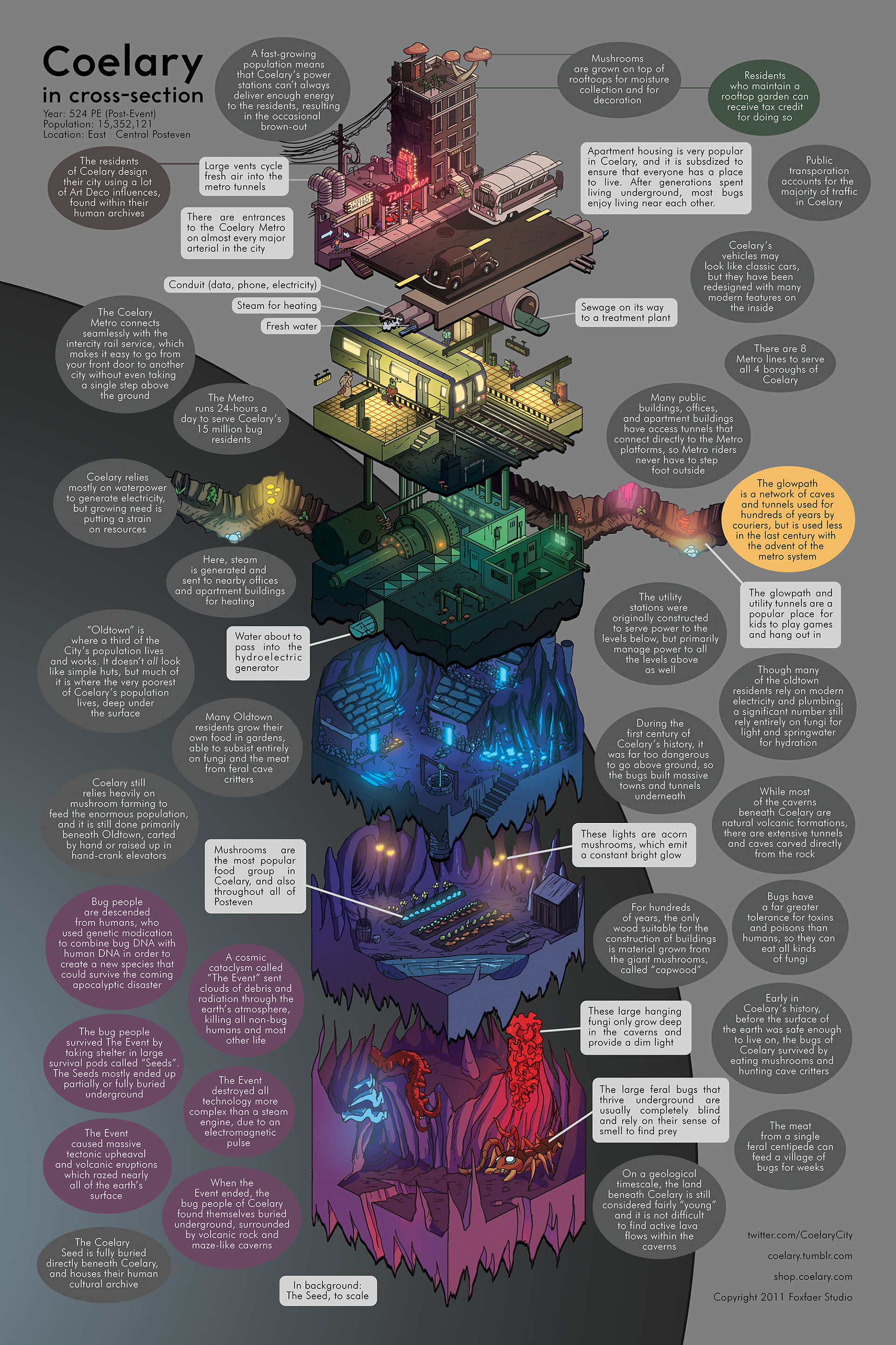 Coelary infographic poster