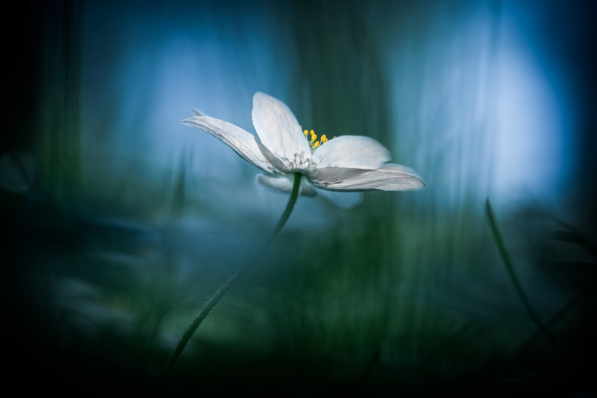 Stadsbiblioteket, Malmö