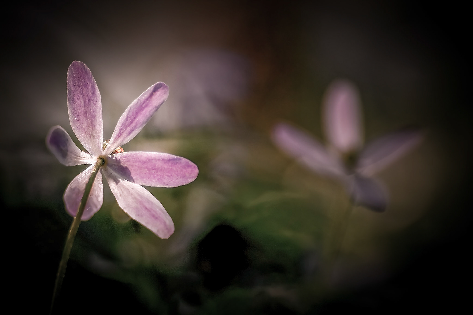 Stadsbiblioteket, Malmö