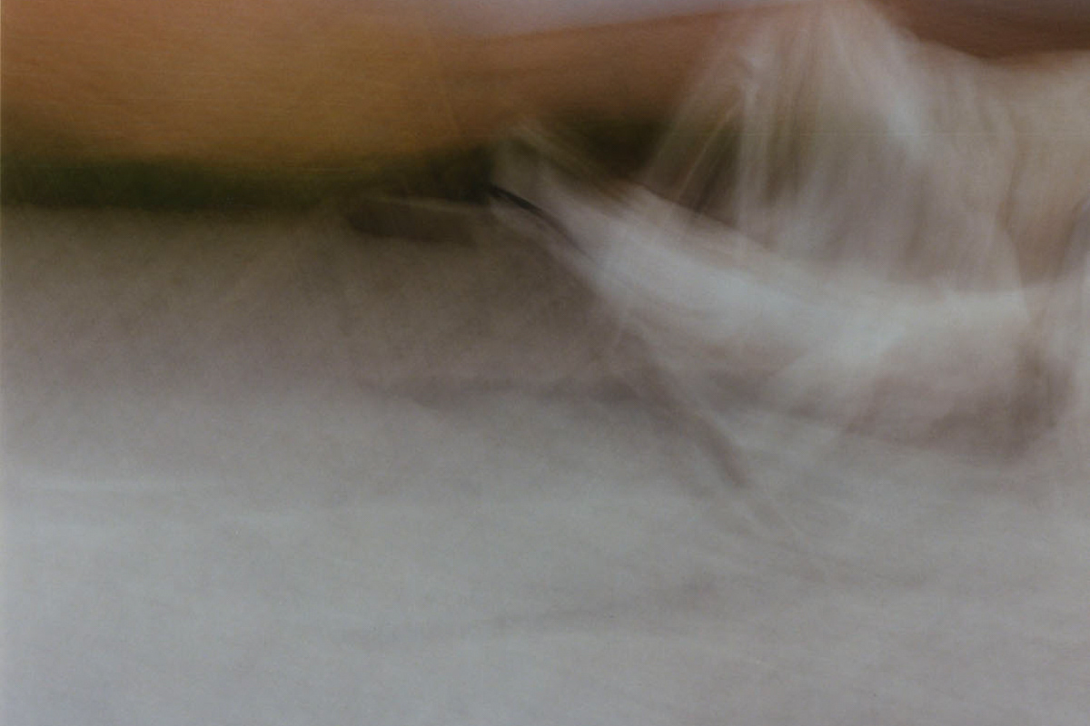Viento. De la serie Nada que Tomar.