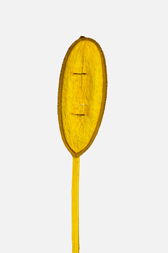 aegretudo egretudo